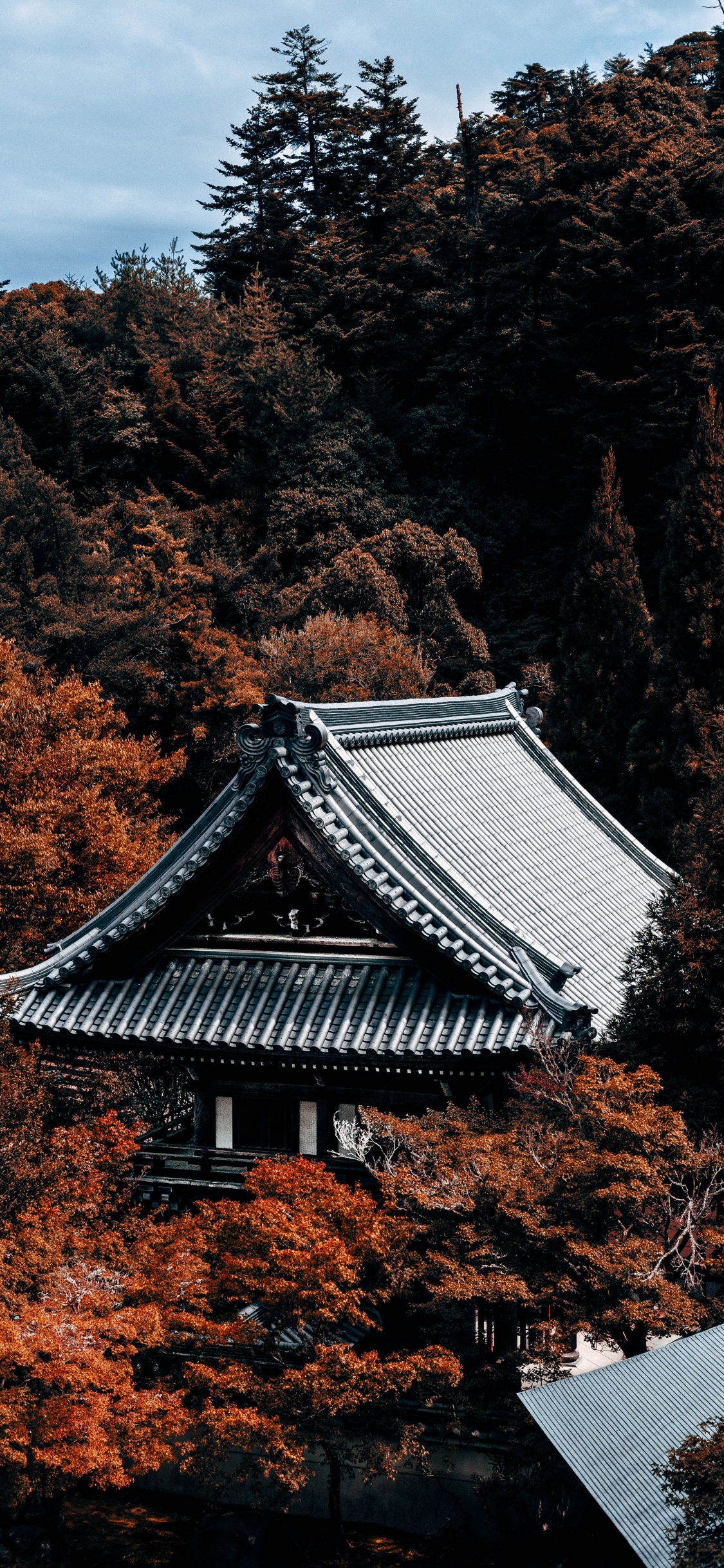 Temple de la Pagode Blanche et Noire Entourée D'arbres Bruns. Wallpaper in 1125x2436 Resolution