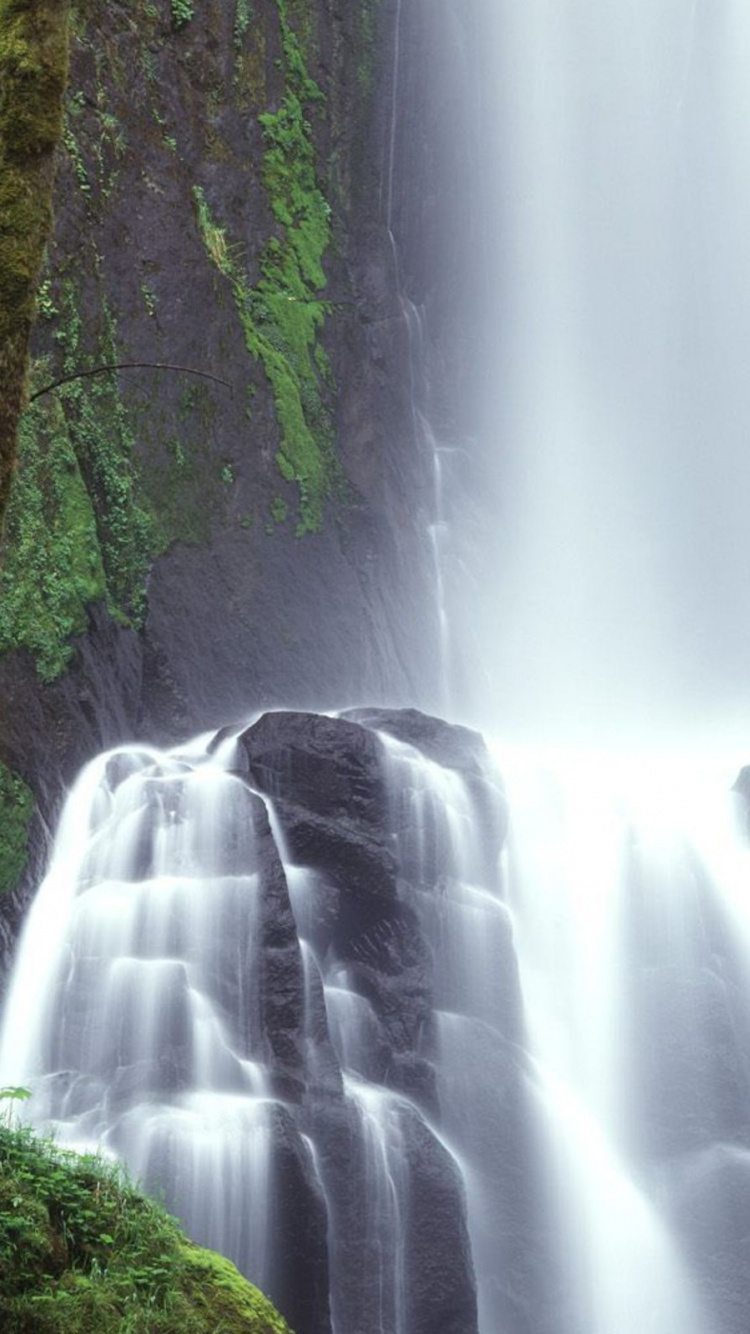 Cascades en Forêt Pendant la Journée. Wallpaper in 750x1334 Resolution