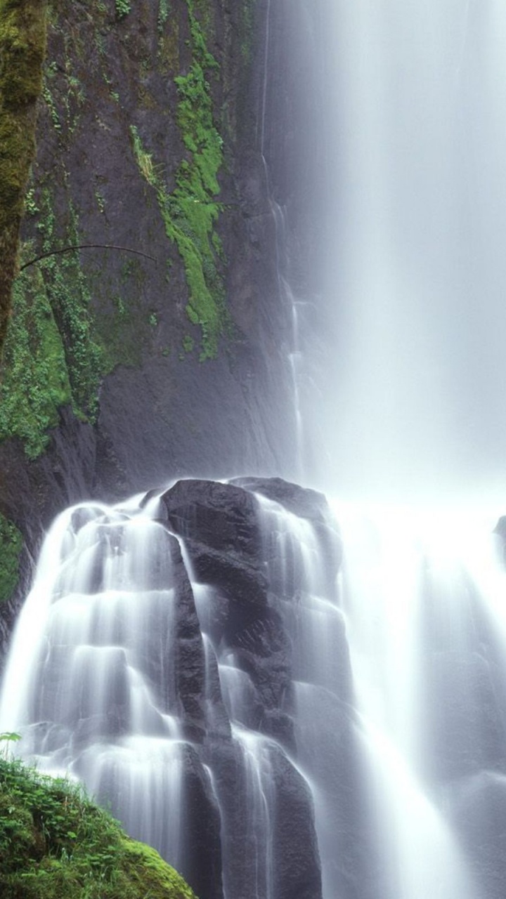 Cascadas en el Bosque Durante el Día.. Wallpaper in 720x1280 Resolution