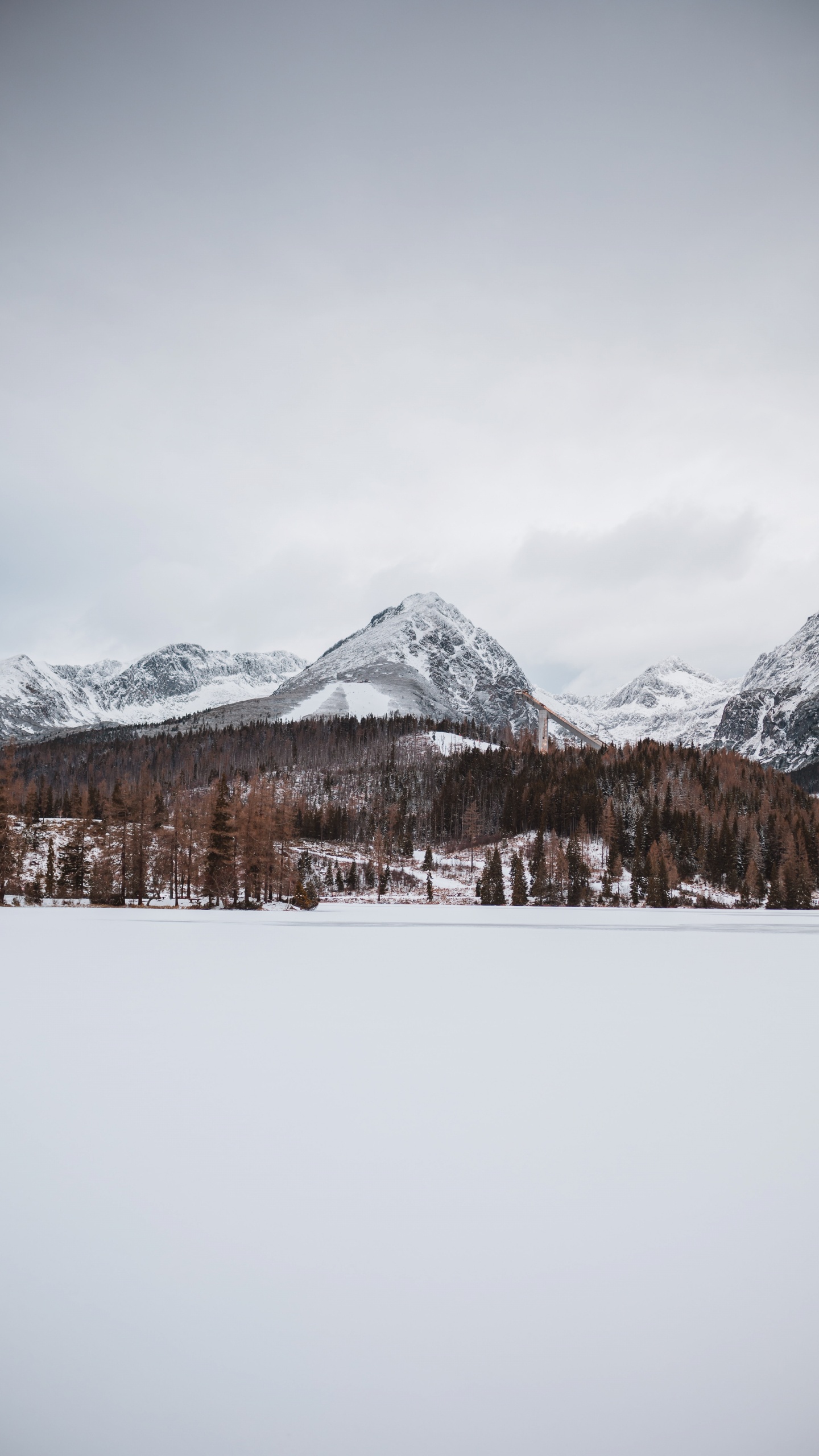 Wilderness, Mountain Range, Freezing, Glacier, Alps. Wallpaper in 1440x2560 Resolution