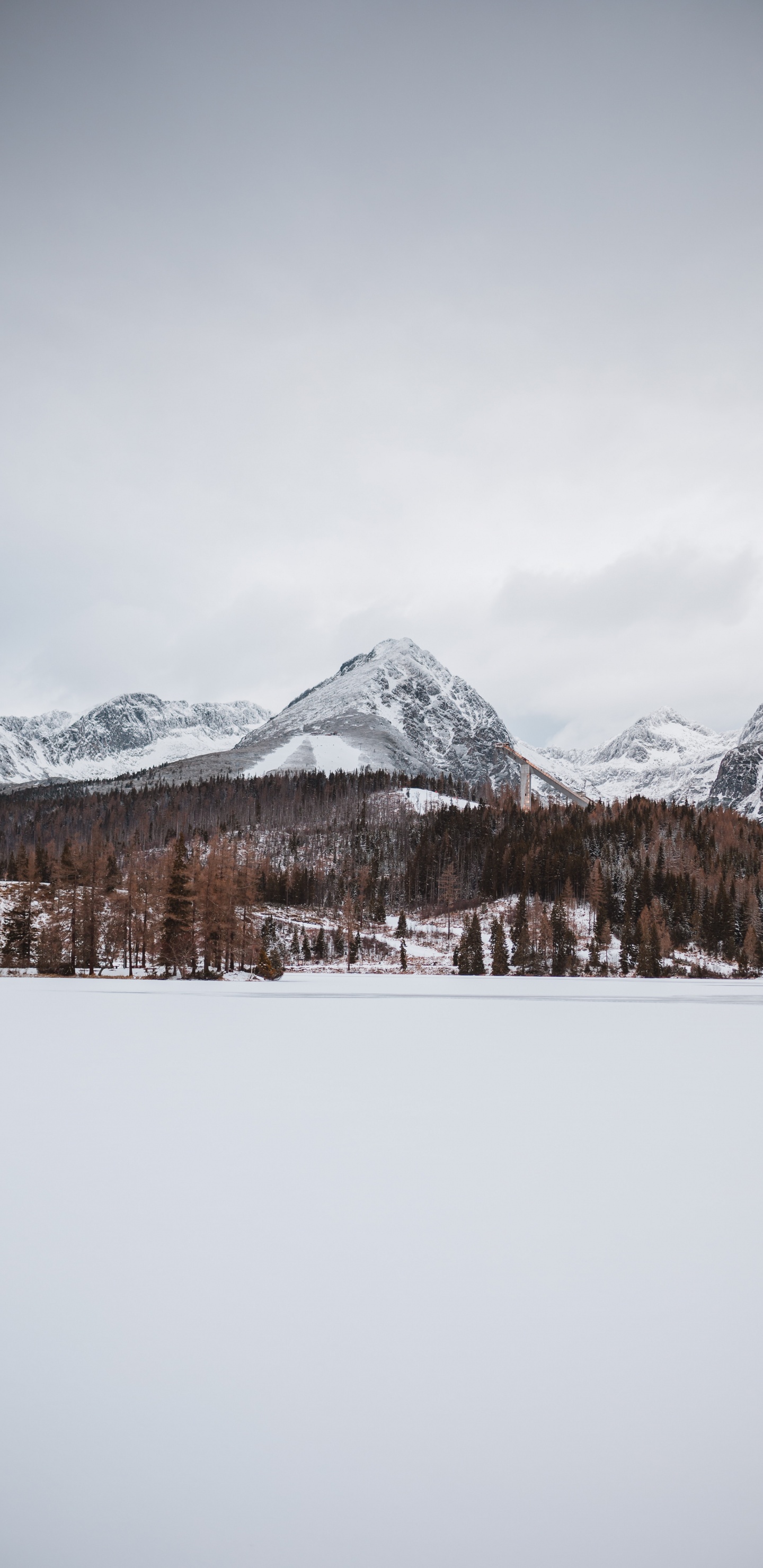 Wilderness, Mountain Range, Freezing, Glacier, Alps. Wallpaper in 1440x2960 Resolution