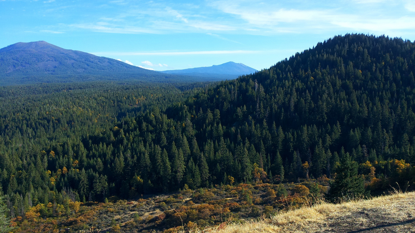 Grüne Bäume Auf Brauner Wiese Unter Blauem Himmel Tagsüber. Wallpaper in 1366x768 Resolution