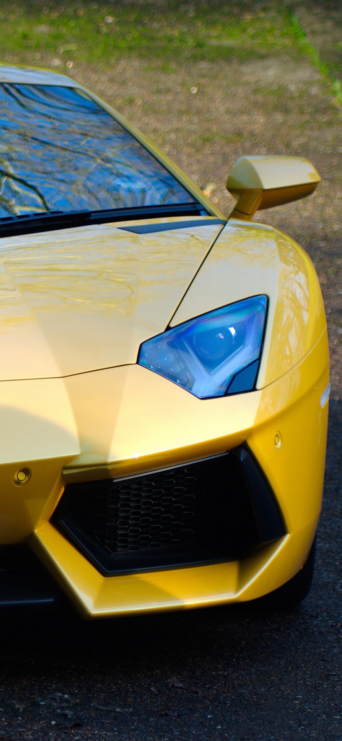 Gelber Lamborghini Aventador Auf Grauer Asphaltstraße Tagsüber. Wallpaper in 1125x2436 Resolution