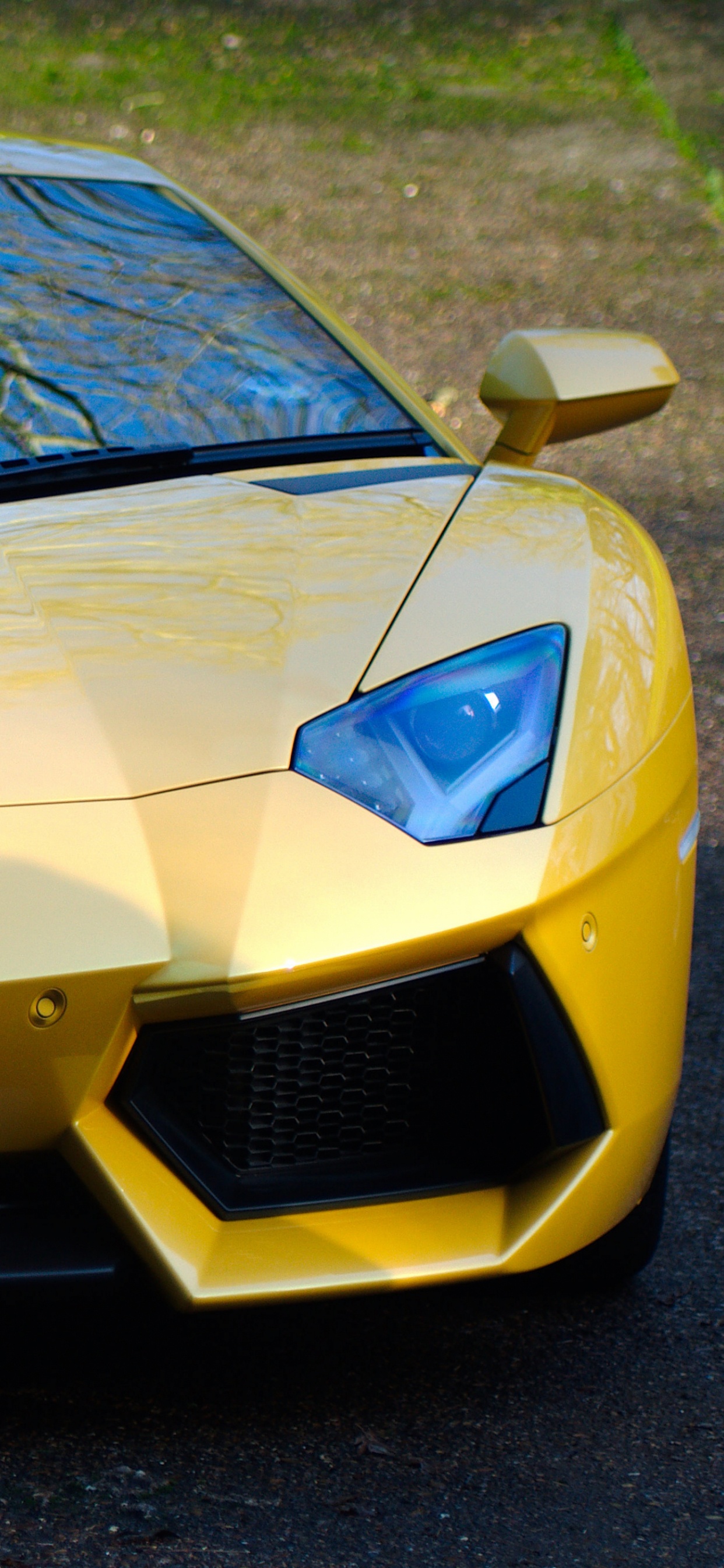 Gelber Lamborghini Aventador Auf Grauer Asphaltstraße Tagsüber. Wallpaper in 1242x2688 Resolution