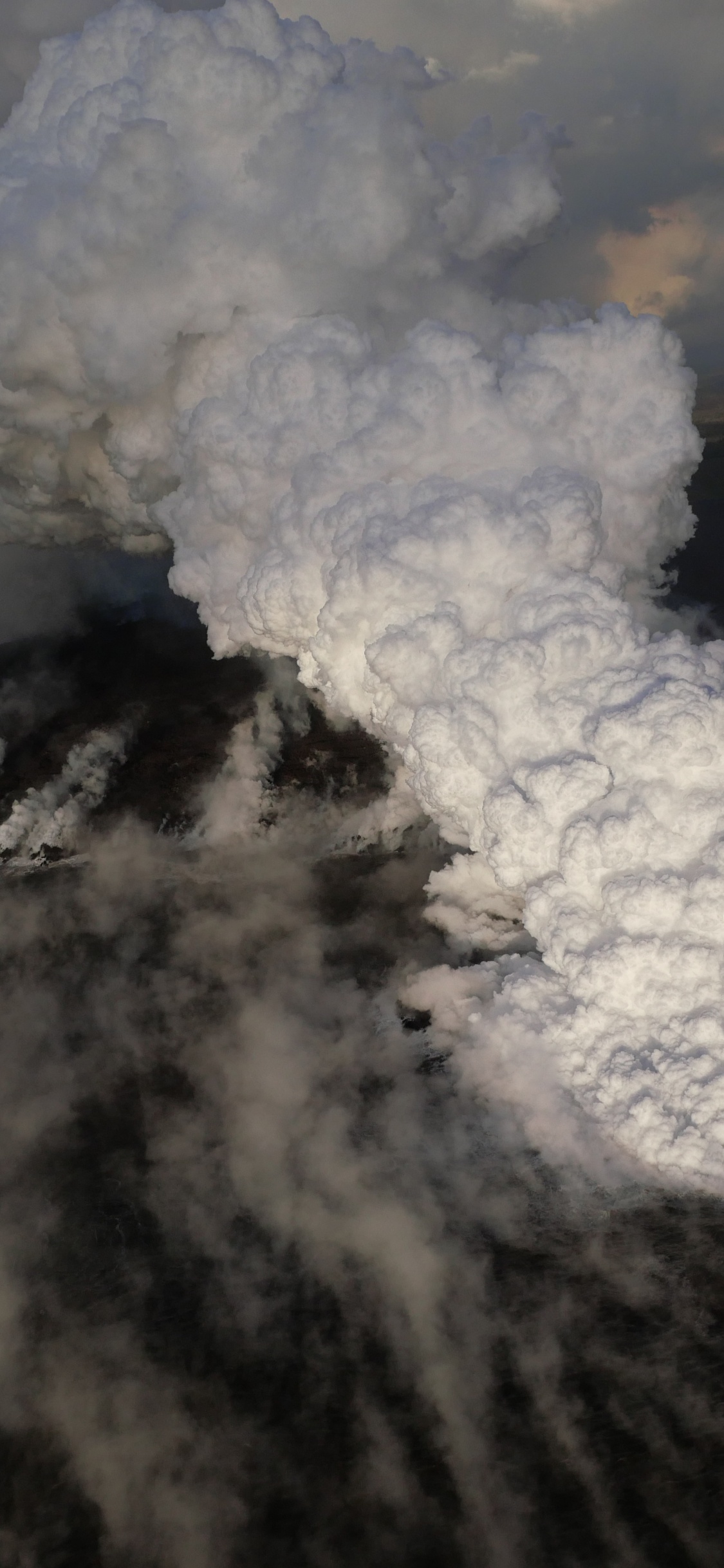 Fumée Blanche Sur Terrain D'herbe Verte Pendant la Journée. Wallpaper in 1125x2436 Resolution