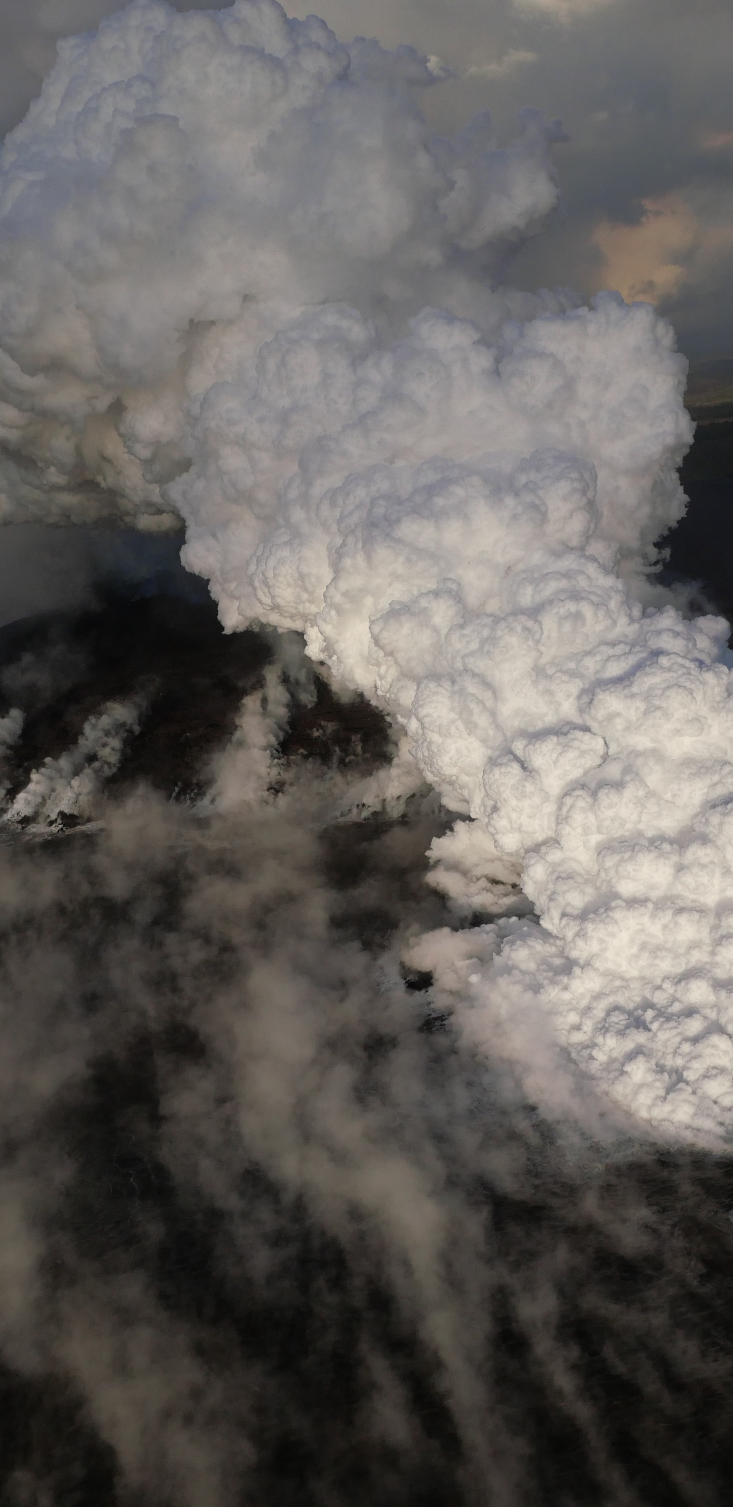 Fumée Blanche Sur Terrain D'herbe Verte Pendant la Journée. Wallpaper in 1440x2960 Resolution