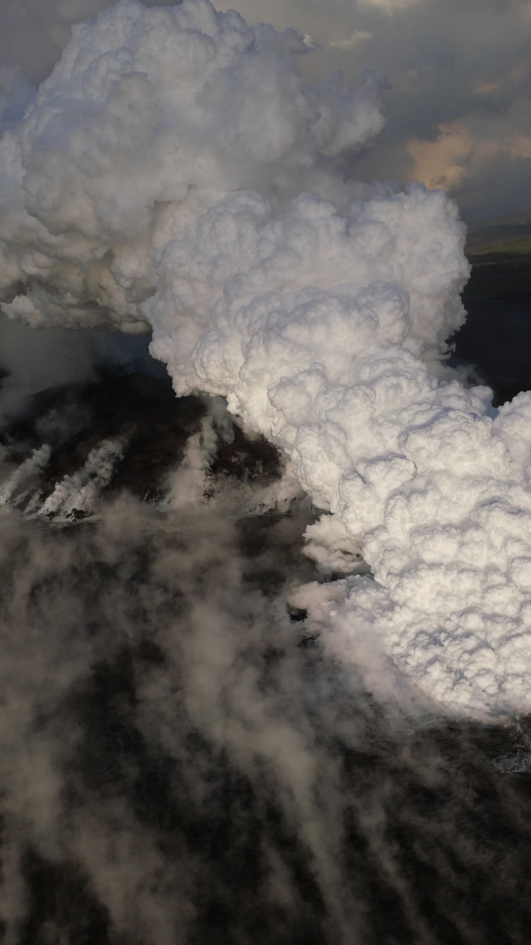 Tagsüber Weißer Rauch Auf Der Grünen Wiese. Wallpaper in 1080x1920 Resolution