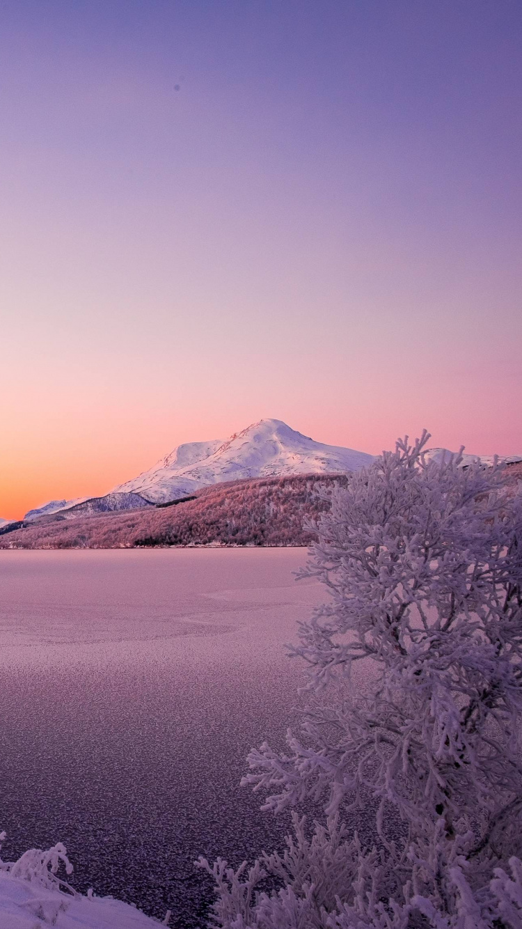 冬天, 性质, 冻结, 早上, 天空 壁纸 750x1334 允许
