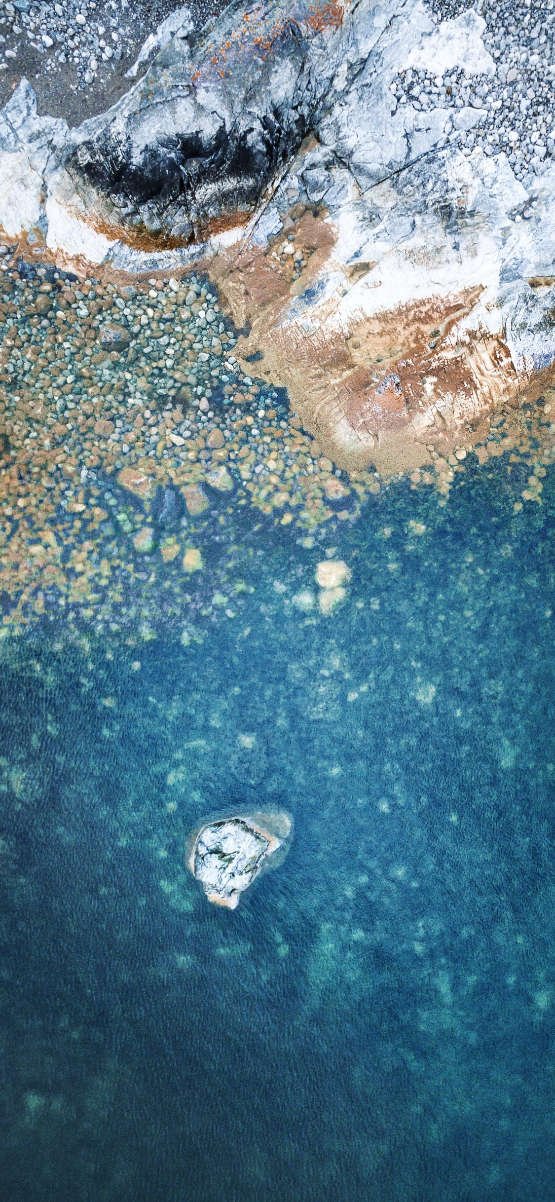 IPad, Ipad Pro, Apple, IPad Pro 2017, Äpfeln. Wallpaper in 1125x2436 Resolution