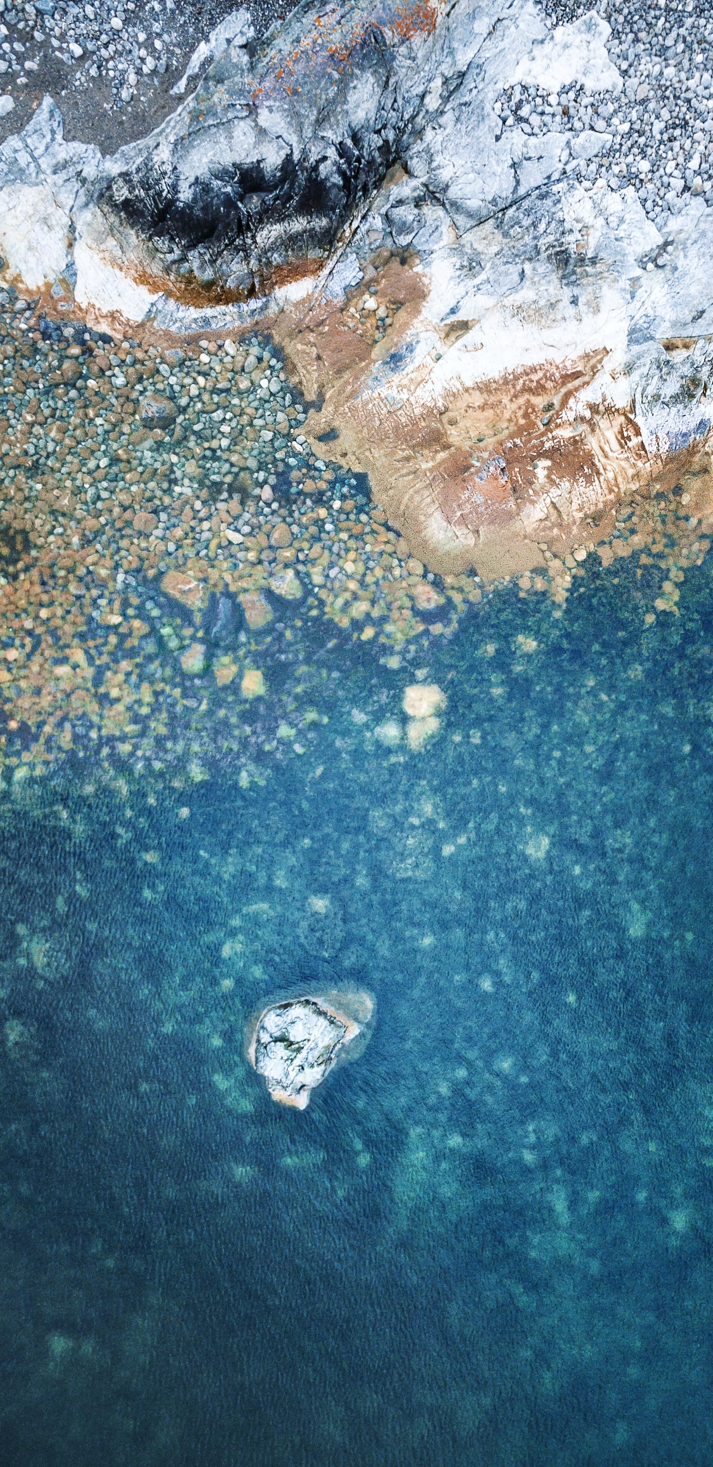 IPad, Ipad Pro, Apple, IPad Pro 2017, Äpfeln. Wallpaper in 1440x2960 Resolution