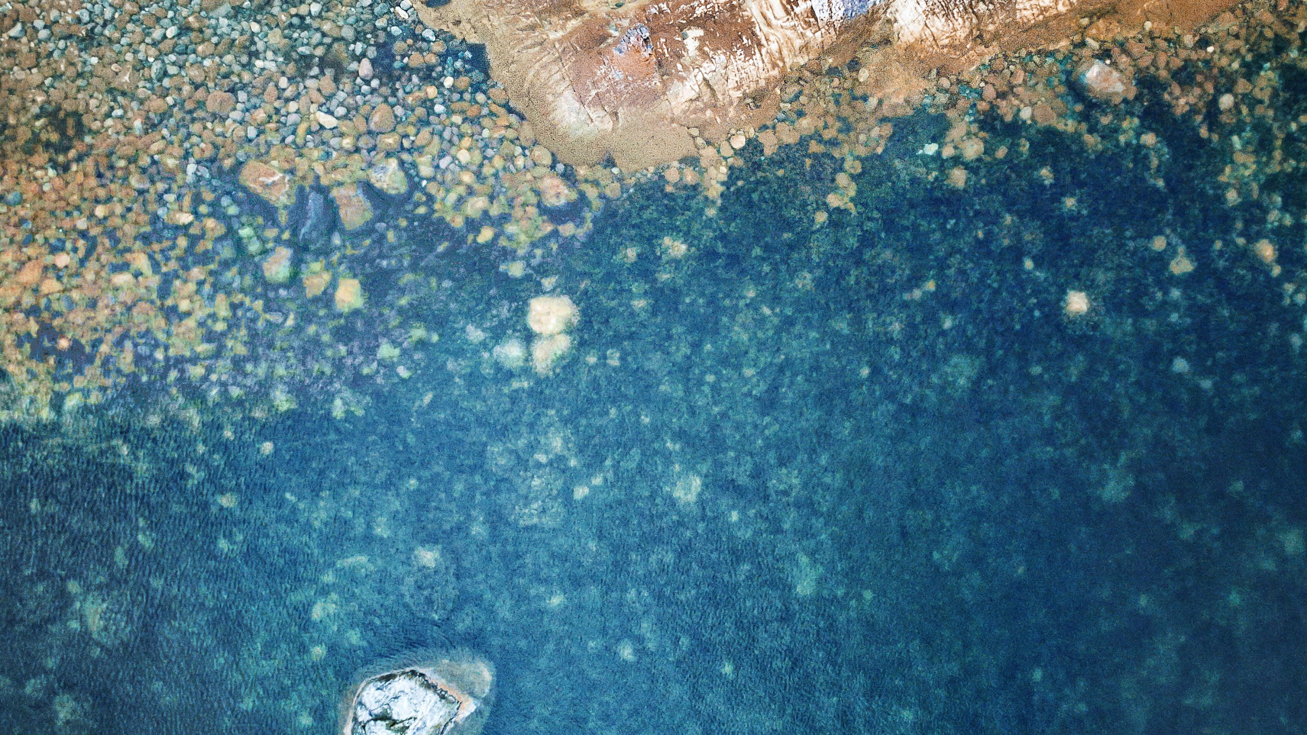 IPad, Ipad Pro, Apple, IPad Pro 2017, Äpfeln. Wallpaper in 2560x1440 Resolution