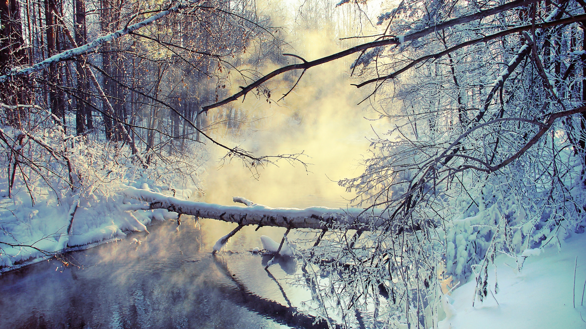 Snow Covered Trees During Daytime. Wallpaper in 1920x1080 Resolution