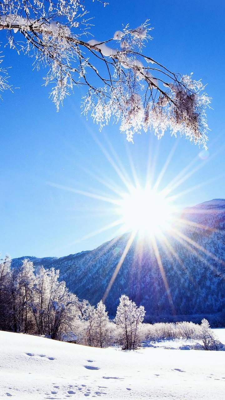 Snow Covered Trees and Mountains Under Blue Sky During Daytime. Wallpaper in 720x1280 Resolution
