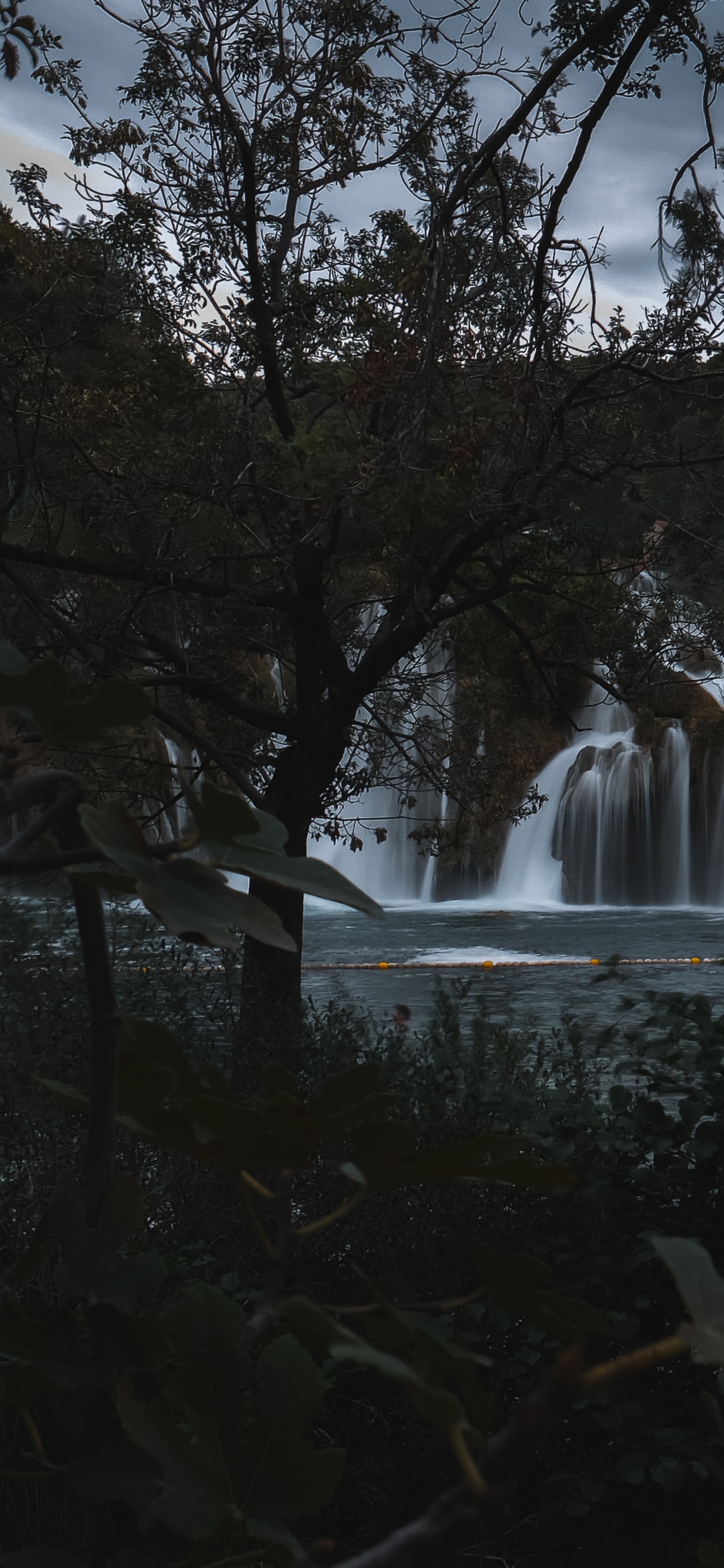 Baum, Gewässer, Wasserfall, Natur, Wasser. Wallpaper in 1125x2436 Resolution