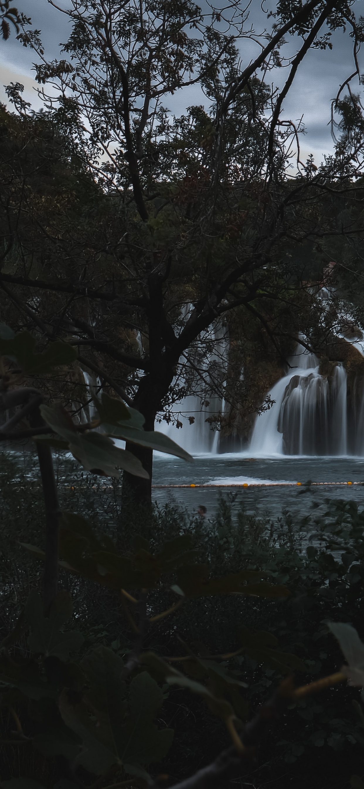 Baum, Gewässer, Wasserfall, Natur, Wasser. Wallpaper in 1242x2688 Resolution