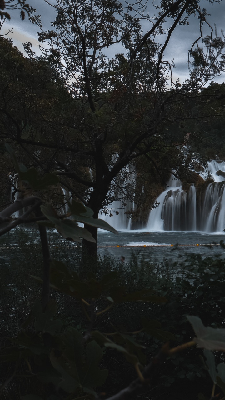 Baum, Gewässer, Wasserfall, Natur, Wasser. Wallpaper in 720x1280 Resolution