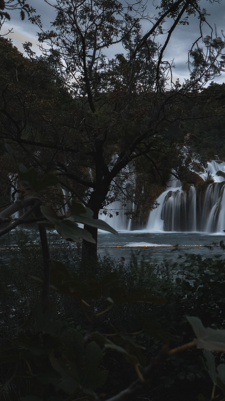 Baum, Gewässer, Wasserfall, Natur, Wasser. Wallpaper in 750x1334 Resolution