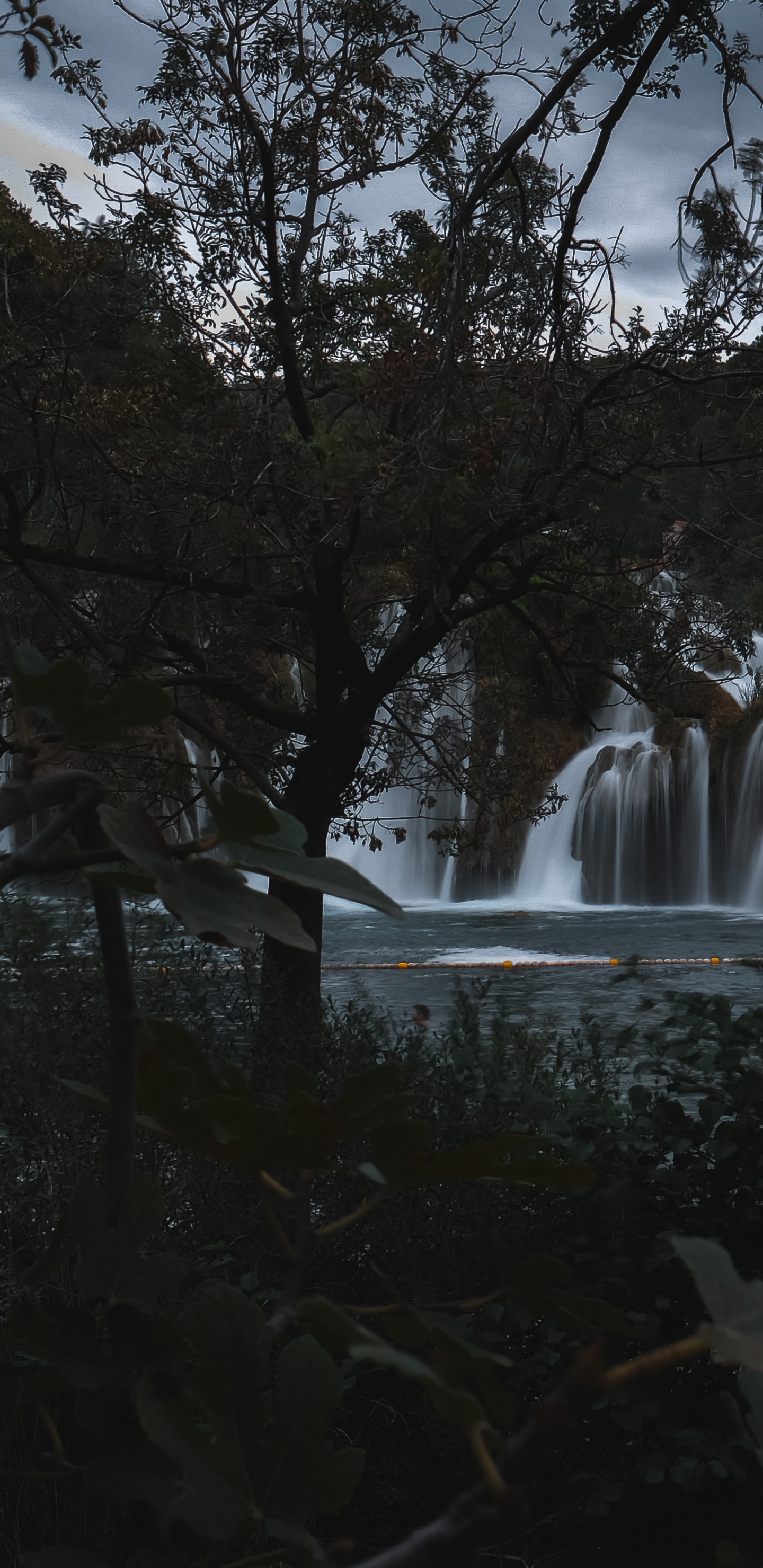 Tree, Body of Water, Waterfall, Nature, Water. Wallpaper in 1440x2960 Resolution