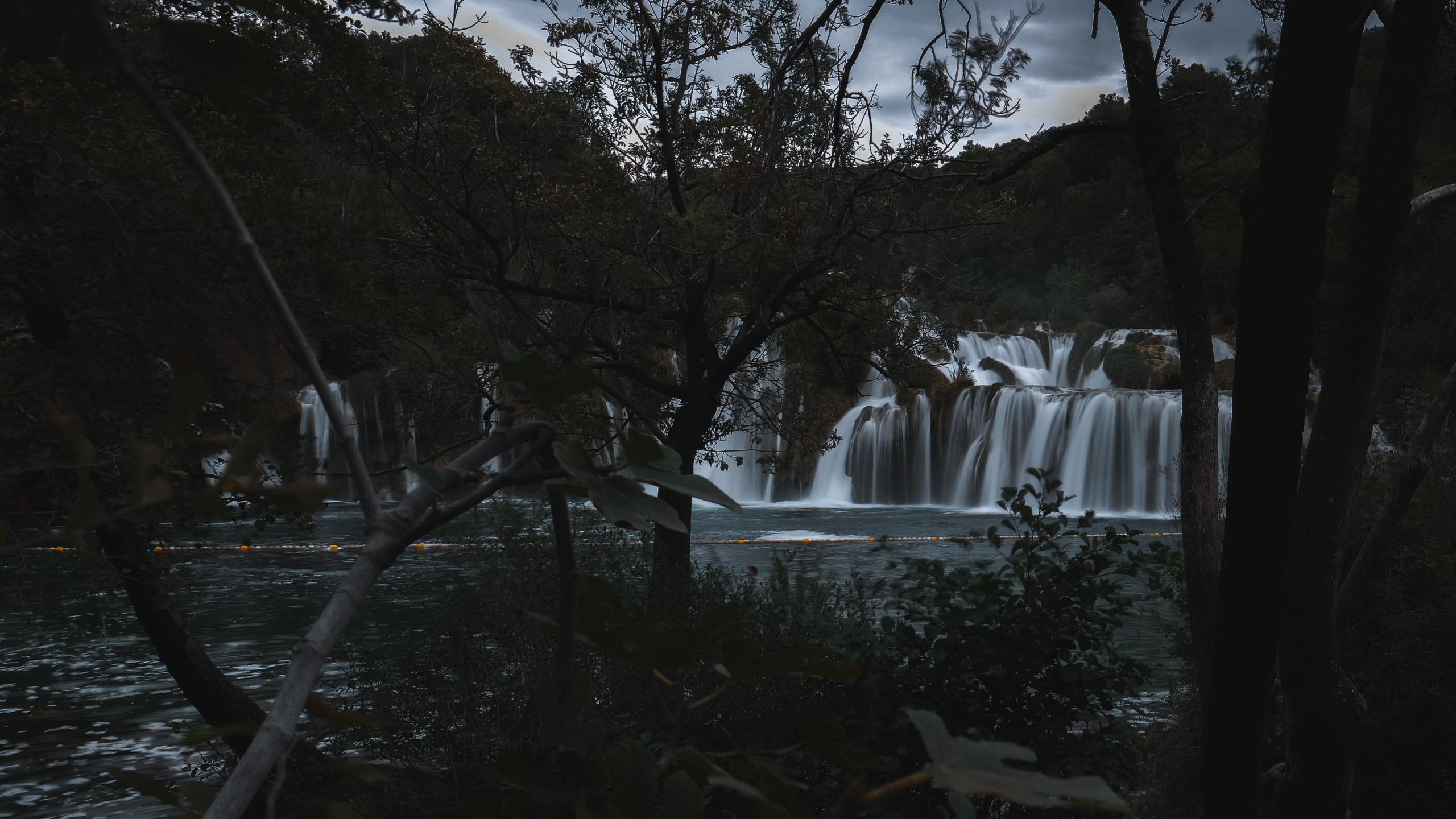 Tree, Body of Water, Waterfall, Nature, Water. Wallpaper in 2560x1440 Resolution