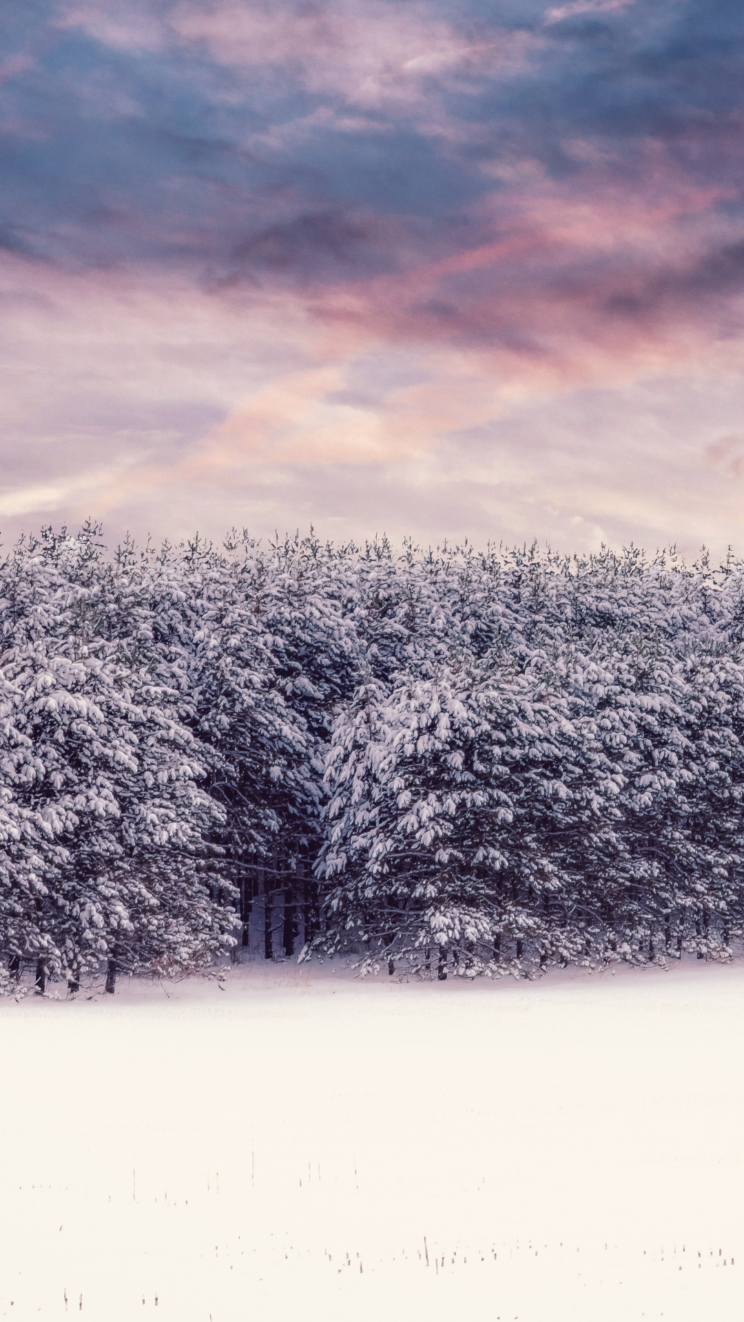 Winter, Schnee, Natur, Cloud, Naturlandschaft. Wallpaper in 1080x1920 Resolution