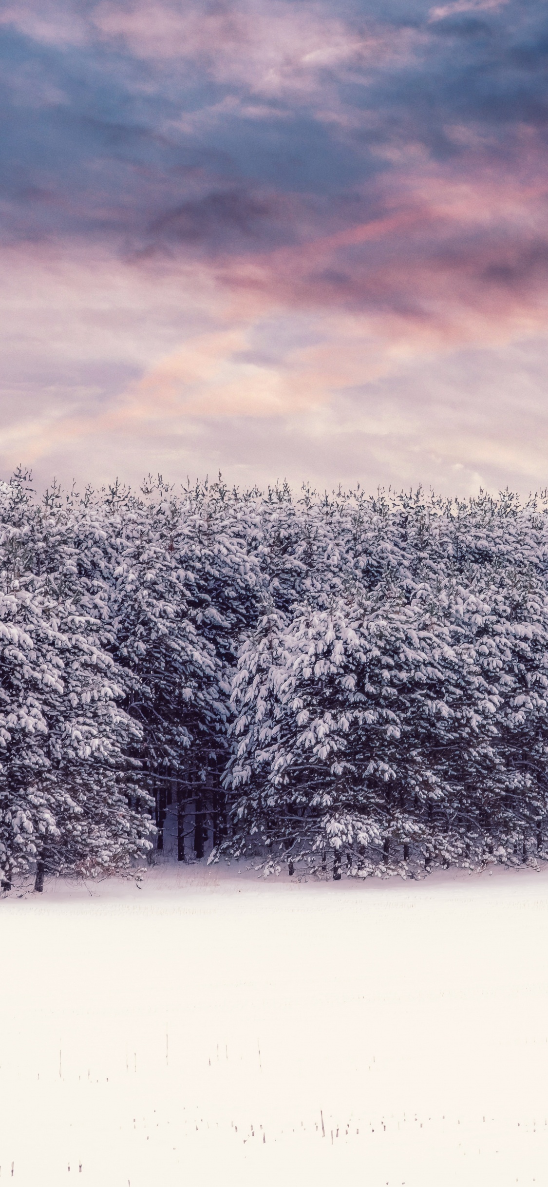 Winter, Schnee, Natur, Cloud, Naturlandschaft. Wallpaper in 1125x2436 Resolution