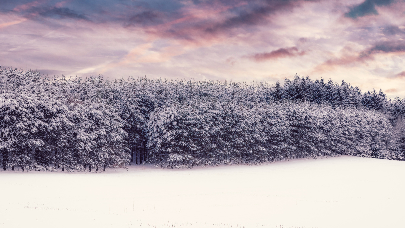 Winter, Schnee, Natur, Cloud, Naturlandschaft. Wallpaper in 1366x768 Resolution