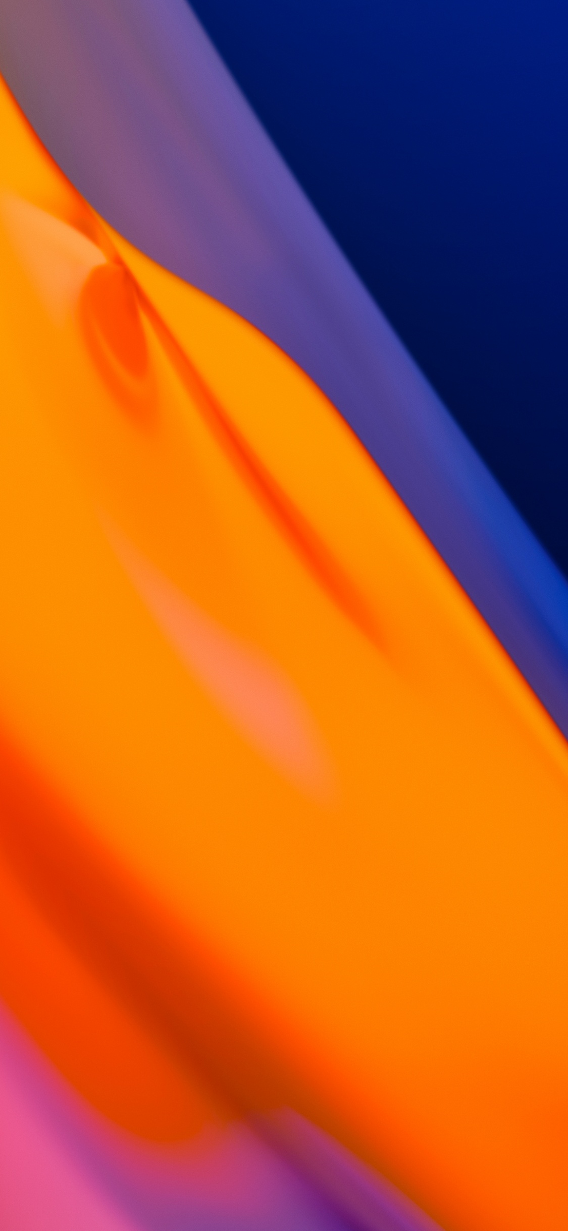 Naranja, Capucha, Ambar, Gesto, Tintes y Matices. Wallpaper in 1125x2436 Resolution