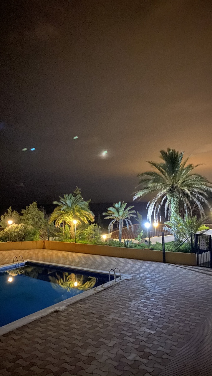 Water, Swimming Pool, Palm Trees, Landscape Lighting, Real Estate. Wallpaper in 720x1280 Resolution