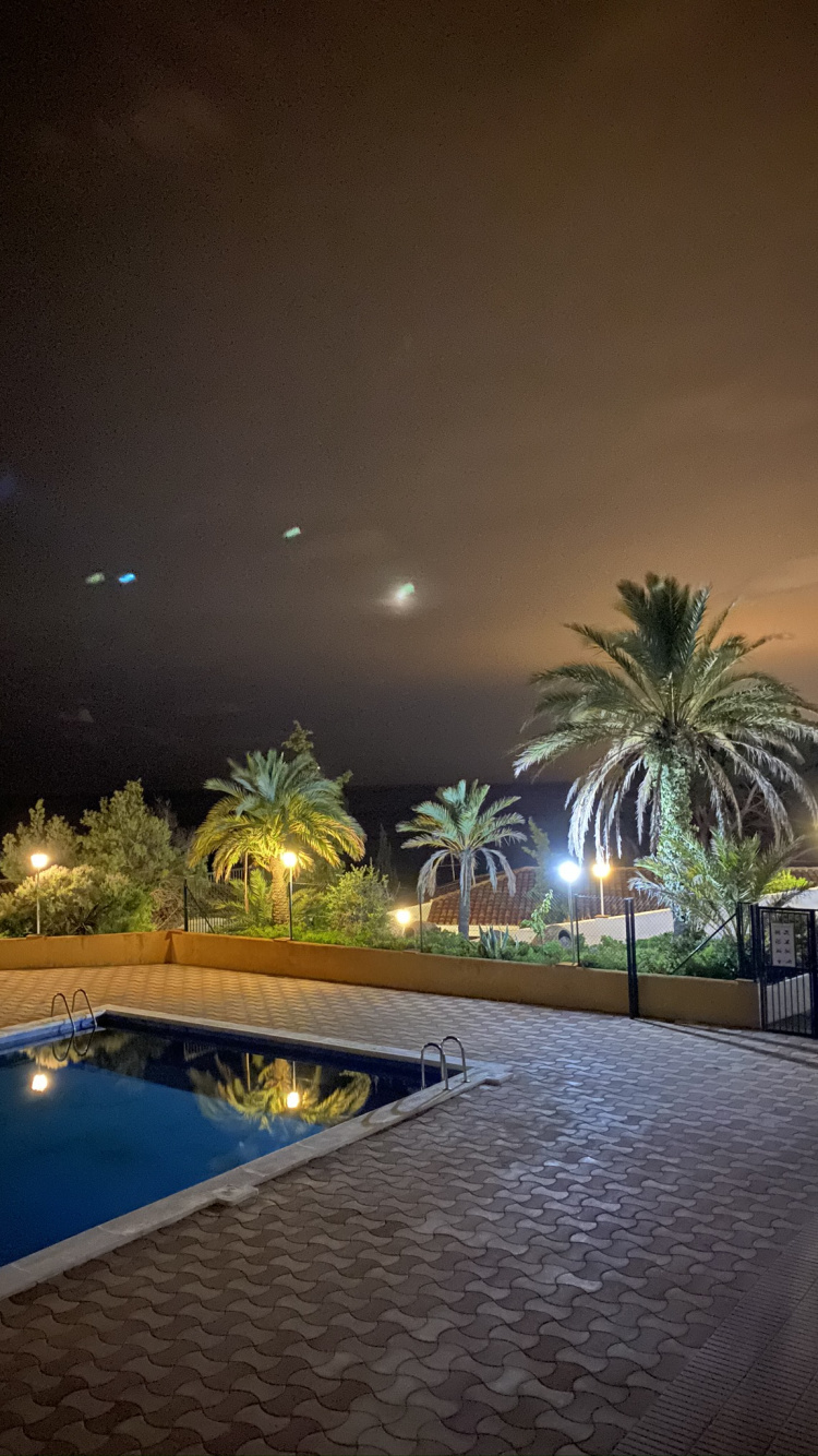 Water, Swimming Pool, Palm Trees, Landscape Lighting, Real Estate. Wallpaper in 750x1334 Resolution