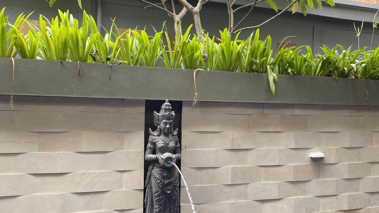 窗口, 棕榈树, 水的特征, 流体, 屋顶 壁纸 1280x720 允许