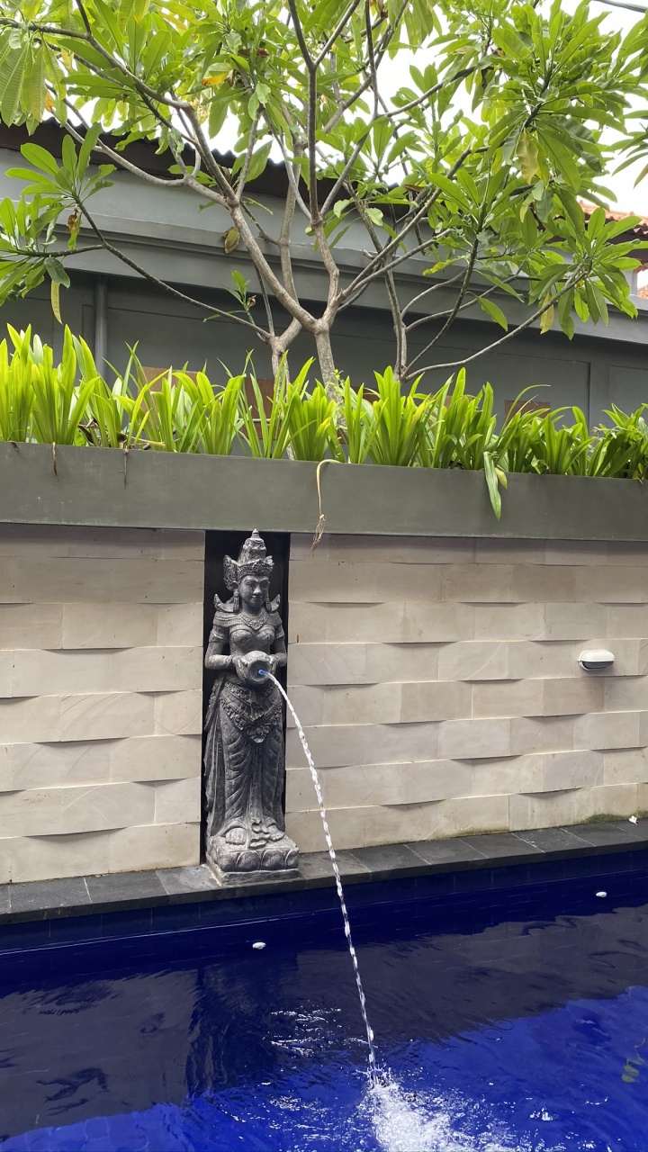 窗口, 棕榈树, 水的特征, 流体, 屋顶 壁纸 720x1280 允许