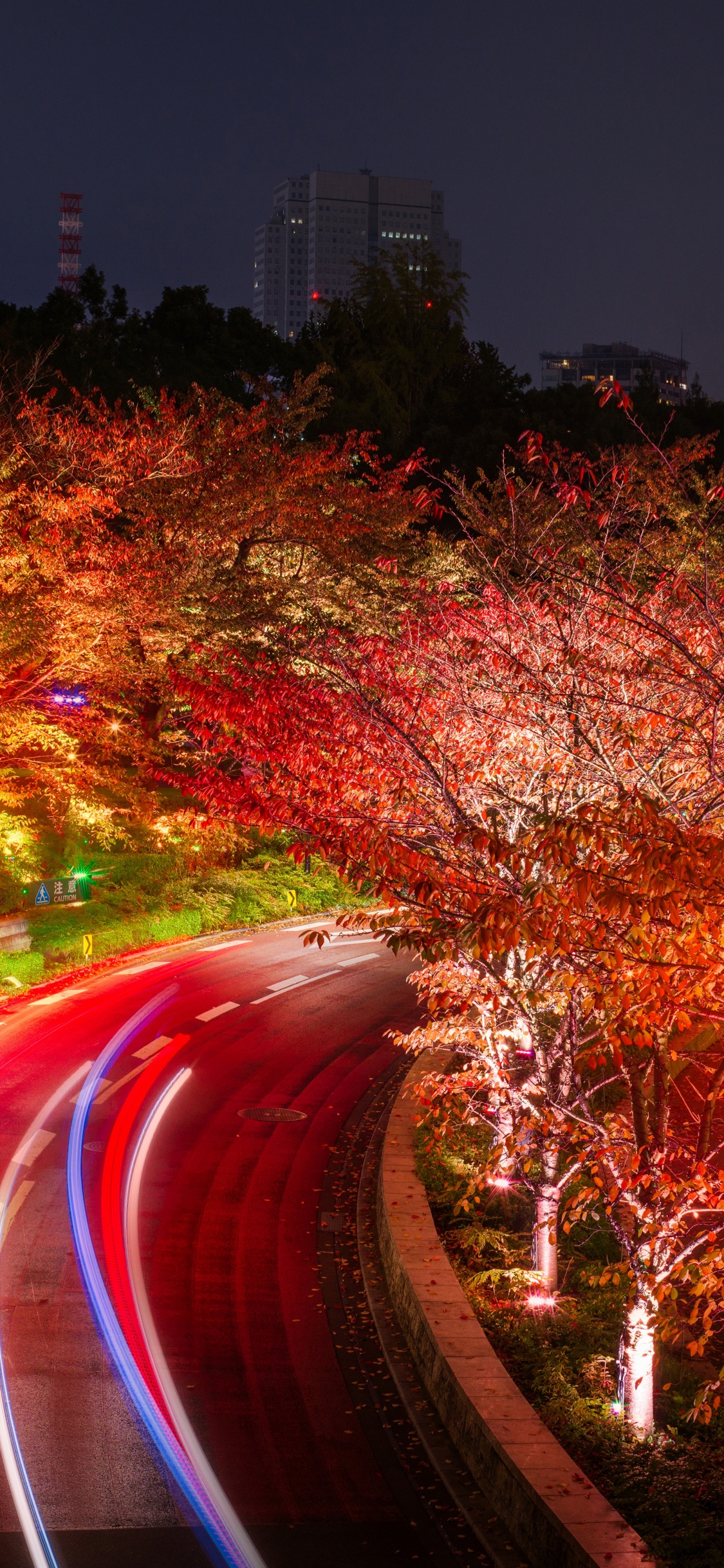 Zeitrafferaufnahmen Von Autos Auf Der Straße Während Der Nachtzeit. Wallpaper in 1125x2436 Resolution