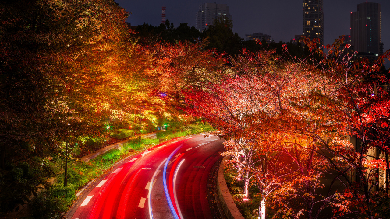 Photographie en Accéléré de Voitures Sur la Route Pendant la Nuit. Wallpaper in 1280x720 Resolution