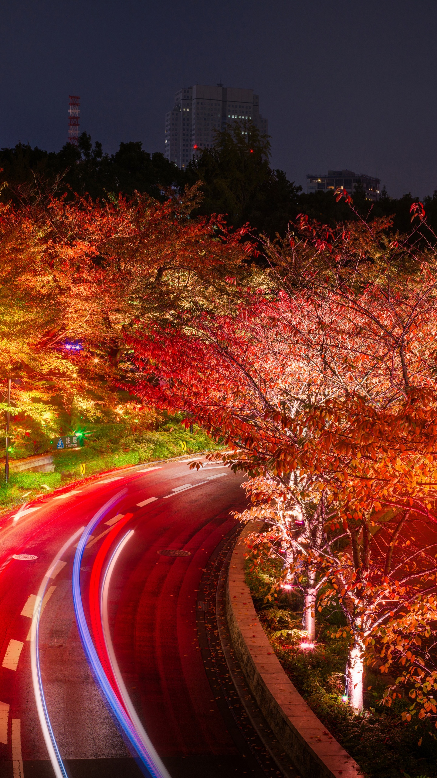 Photographie en Accéléré de Voitures Sur la Route Pendant la Nuit. Wallpaper in 1440x2560 Resolution