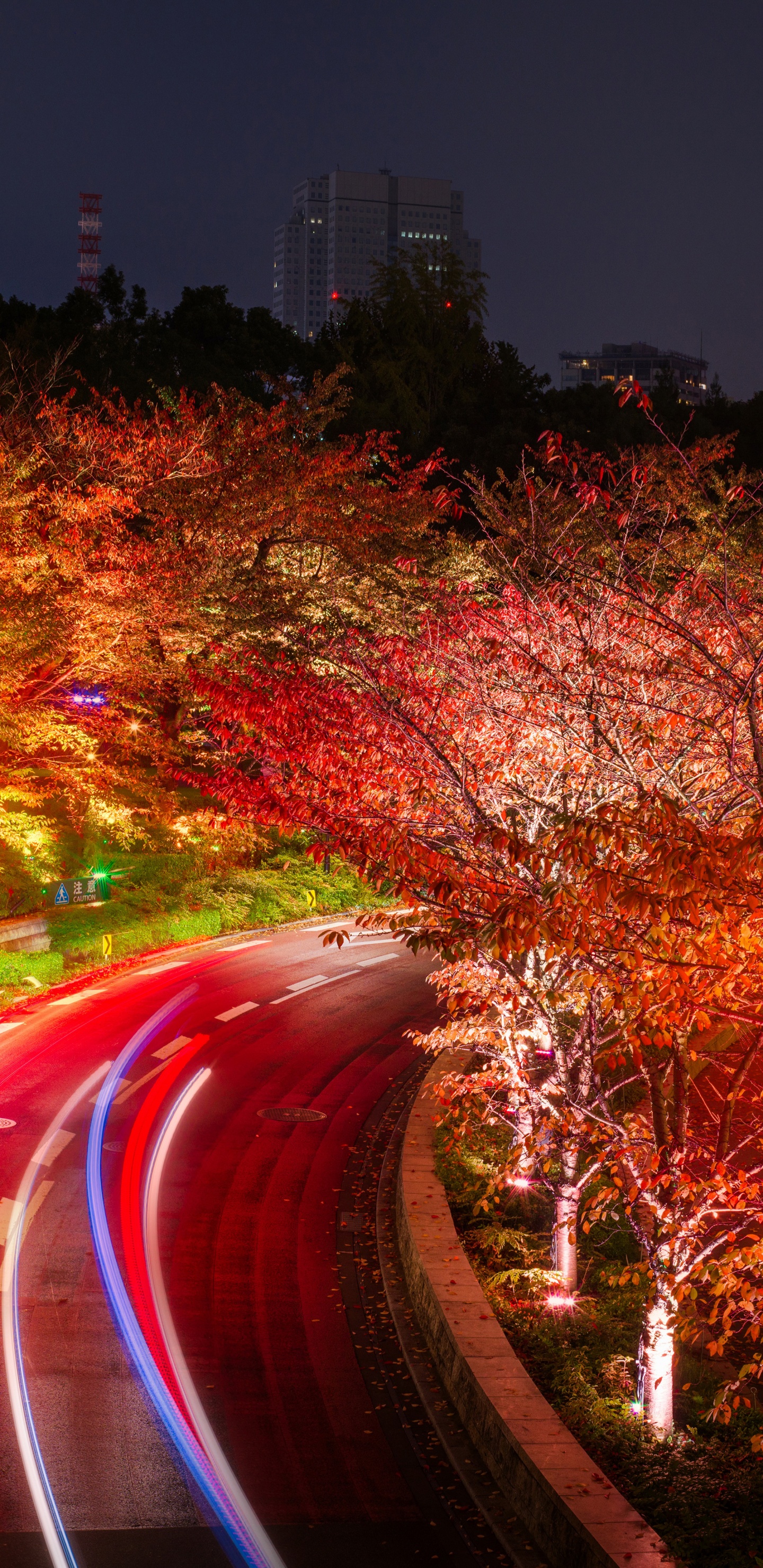 Time Lapse Photography of Cars on Road During Night Time. Wallpaper in 1440x2960 Resolution