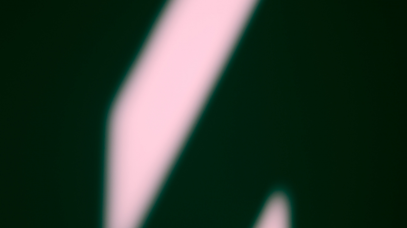 Yellow Flower in Black Background. Wallpaper in 1366x768 Resolution