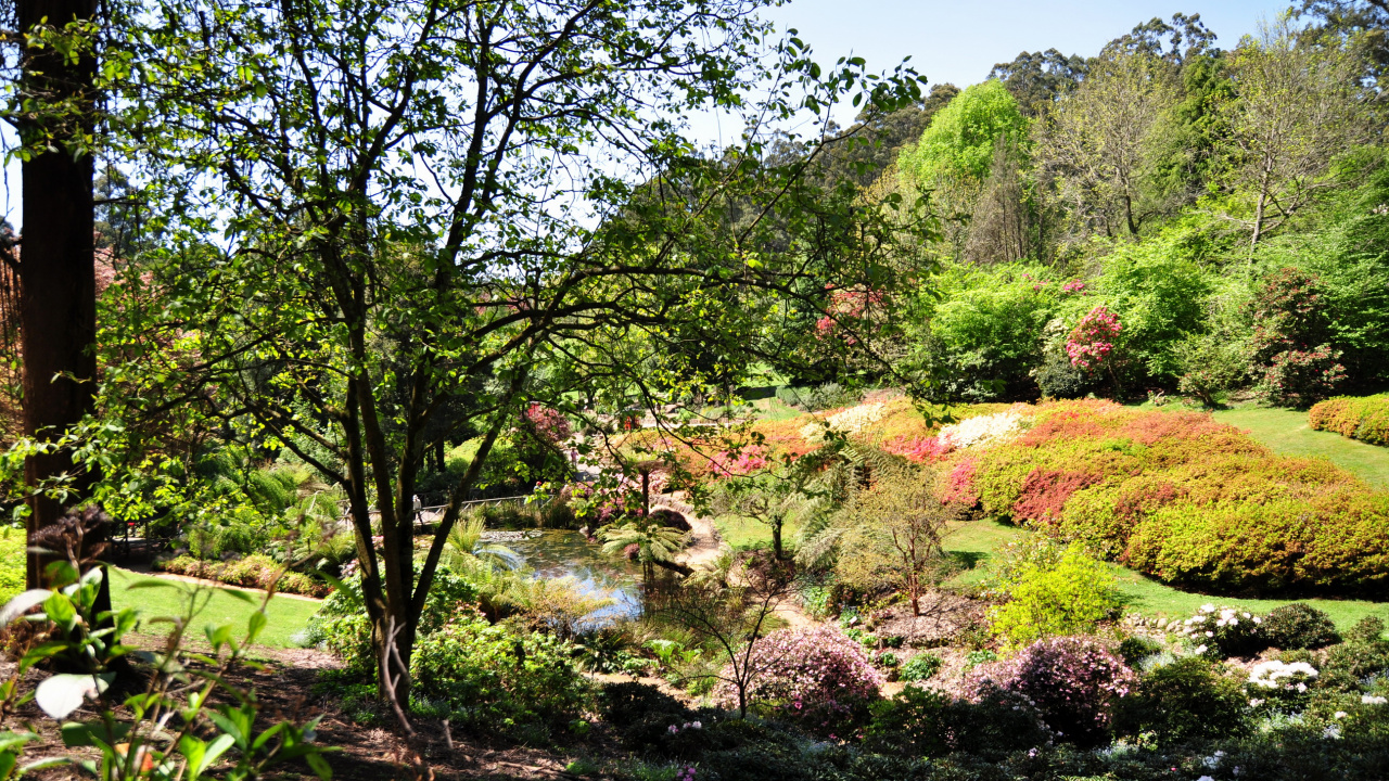 Tagsüber Grüne Bäume Auf Grüner Wiese Field. Wallpaper in 1280x720 Resolution