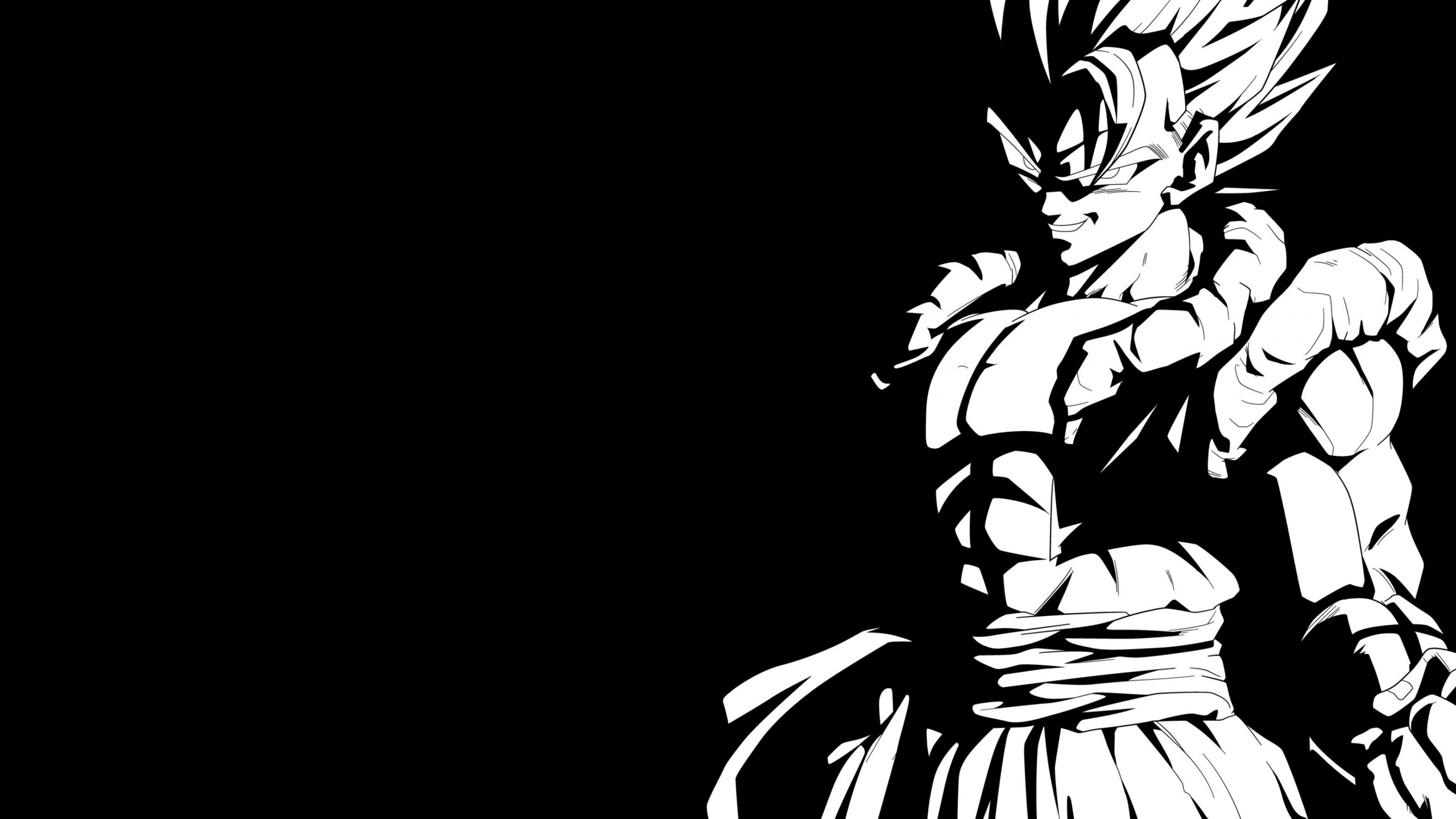 Ilustración de Dragón Blanco y Negro. Wallpaper in 2560x1440 Resolution