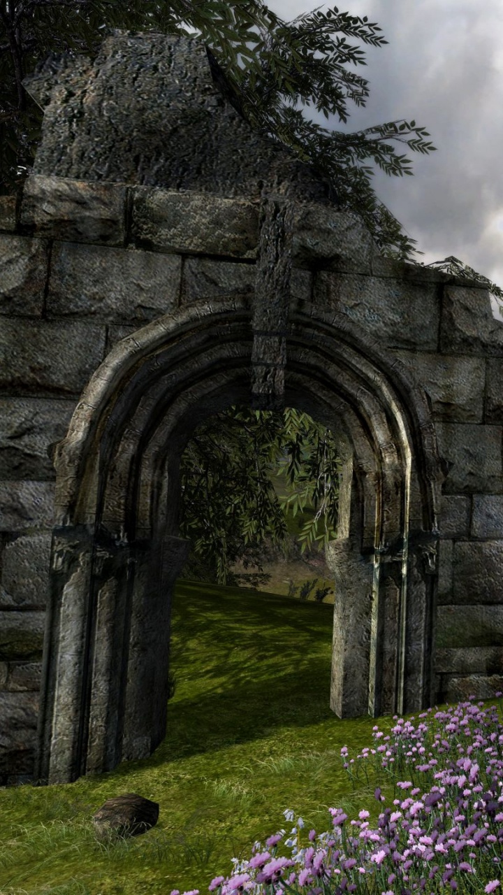 Lila Blumen in Der Nähe Von Grauem Betongebäude. Wallpaper in 720x1280 Resolution