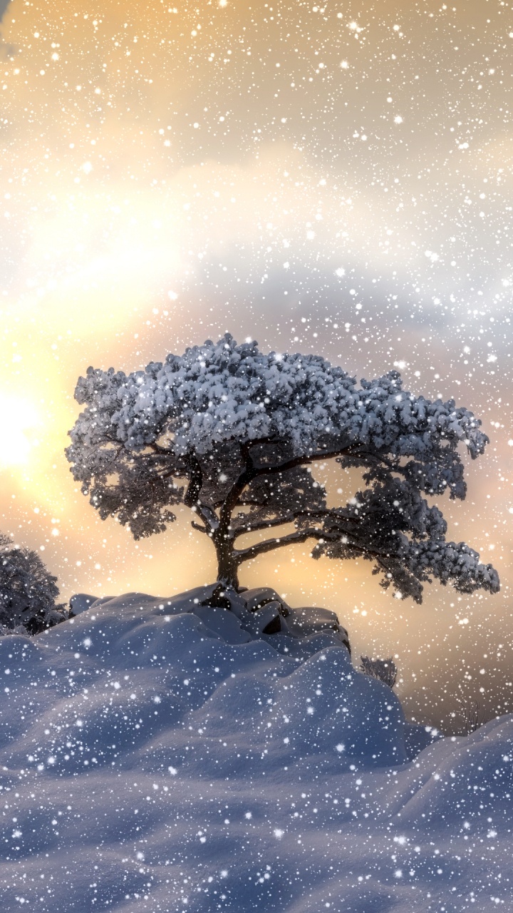 Wasser, Wissenschaft, Atmosphäre, Baum, Naturlandschaft. Wallpaper in 720x1280 Resolution