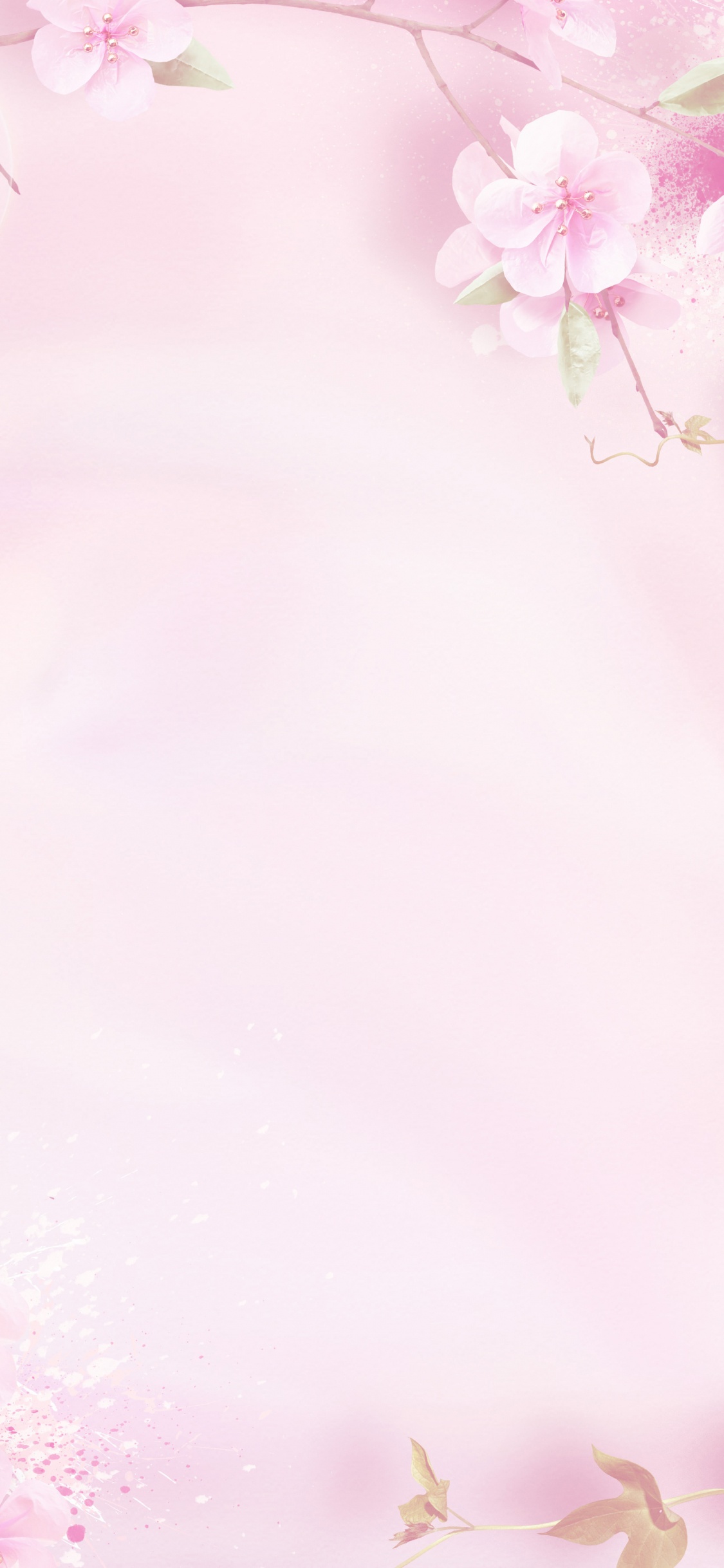 粉红色, 弹簧, 开花, 花卉设计, 樱花 壁纸 1125x2436 允许