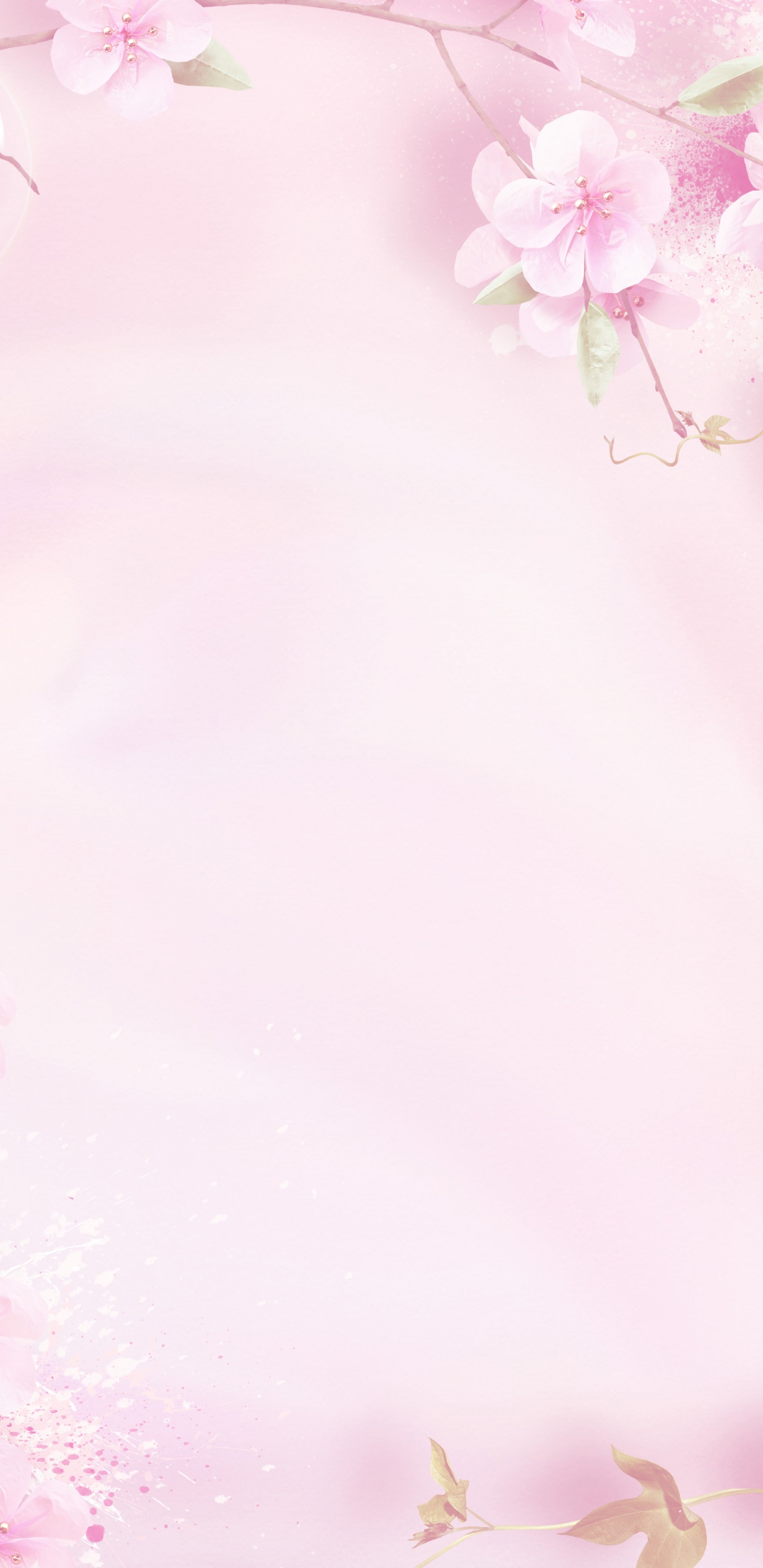 粉红色, 弹簧, 开花, 花卉设计, 樱花 壁纸 1440x2960 允许