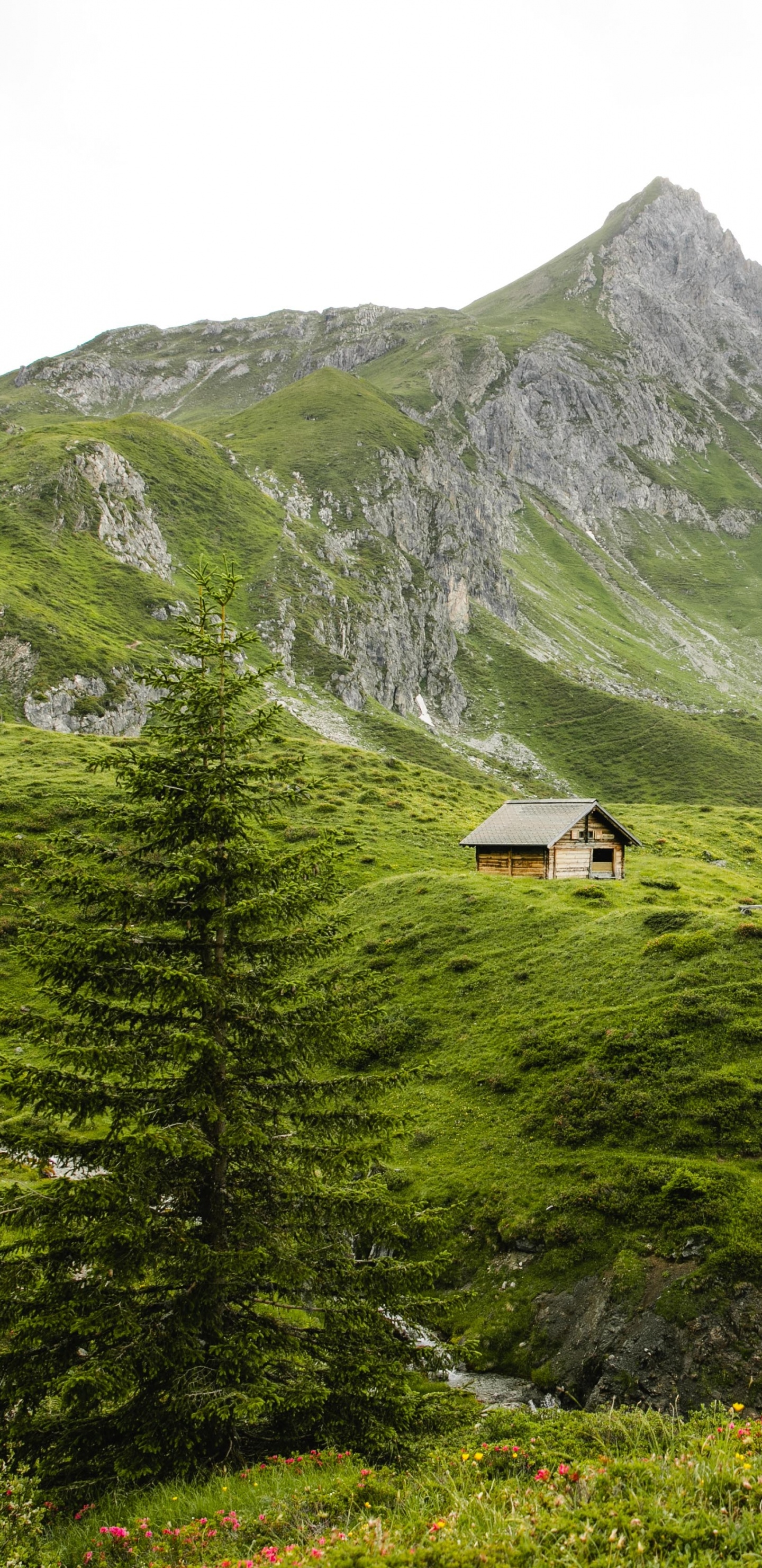 Mountainous Landforms, Highland, Mountain, Hill Station, Natural Landscape. Wallpaper in 1440x2960 Resolution