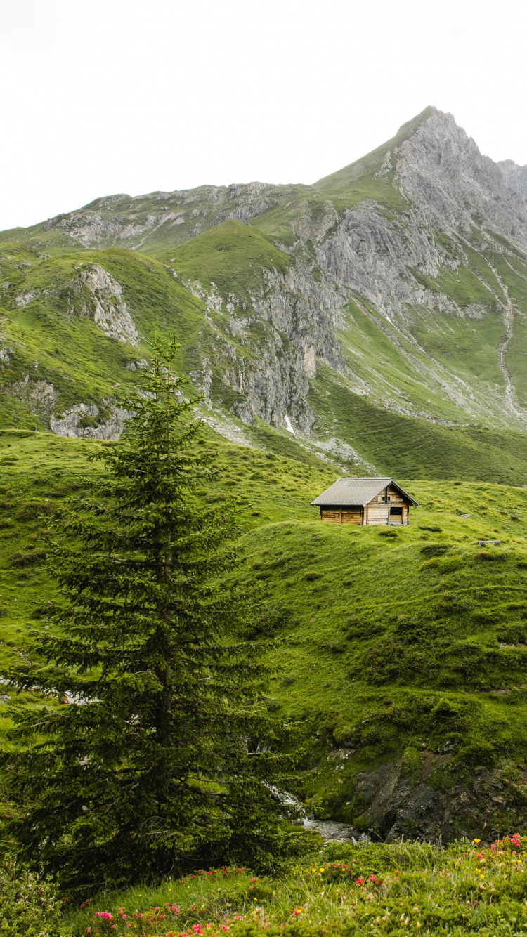 Mountainous Landforms, Highland, Mountain, Hill Station, Natural Landscape. Wallpaper in 750x1334 Resolution