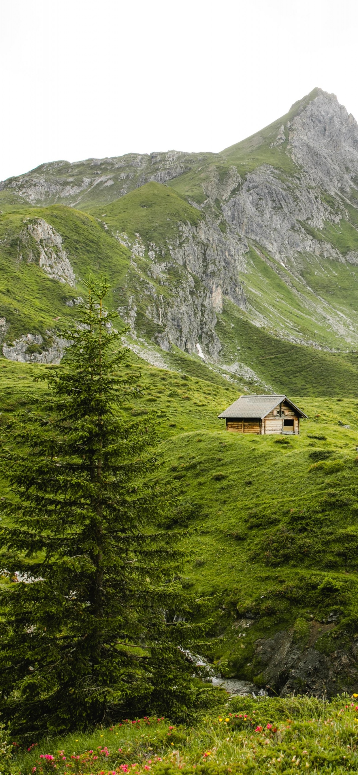 Bergigen Landschaftsformen, Hochland, Bergstation, Naturlandschaft, Natur. Wallpaper in 1242x2688 Resolution