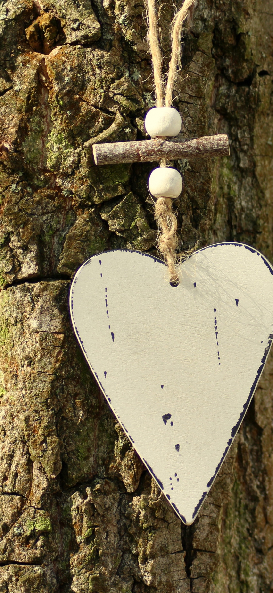 心脏, 昆虫, 木, 飞蛾和蝴蝶, 枪筒 壁纸 1125x2436 允许