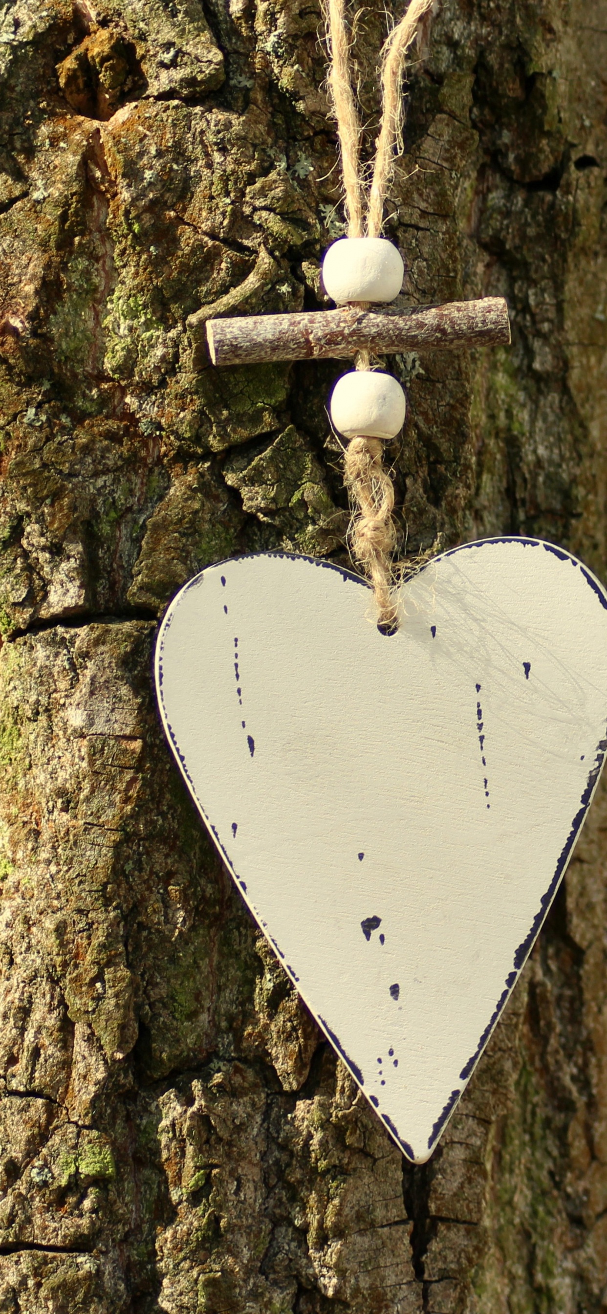 心脏, 昆虫, 木, 飞蛾和蝴蝶, 枪筒 壁纸 1242x2688 允许