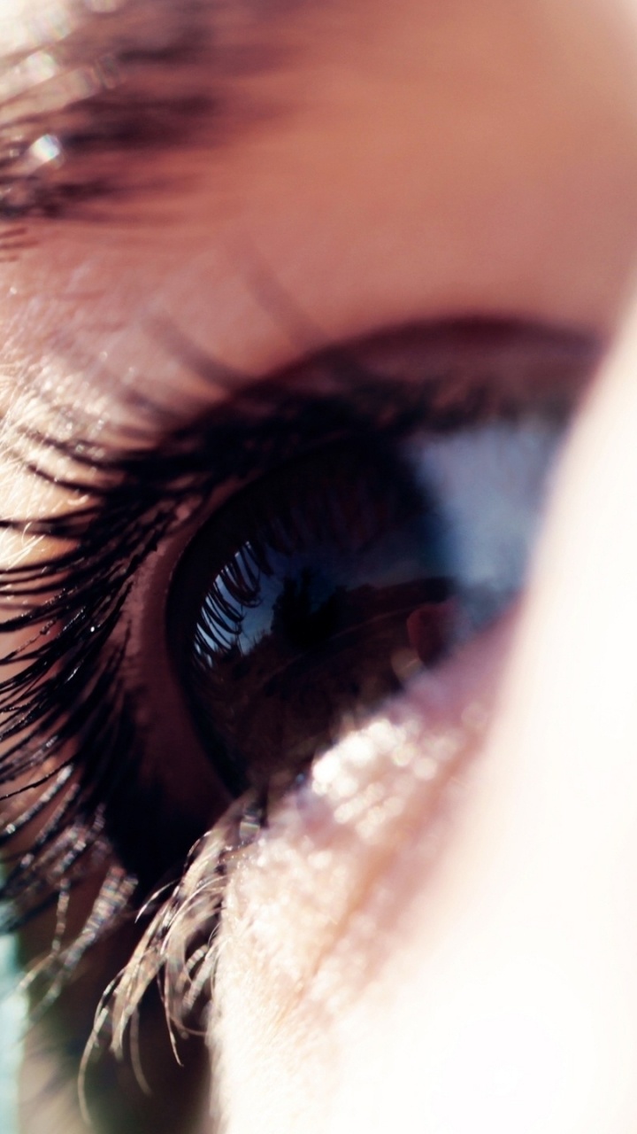 Sourcil, Iris, la Photographie Macro, Élève. Wallpaper in 720x1280 Resolution