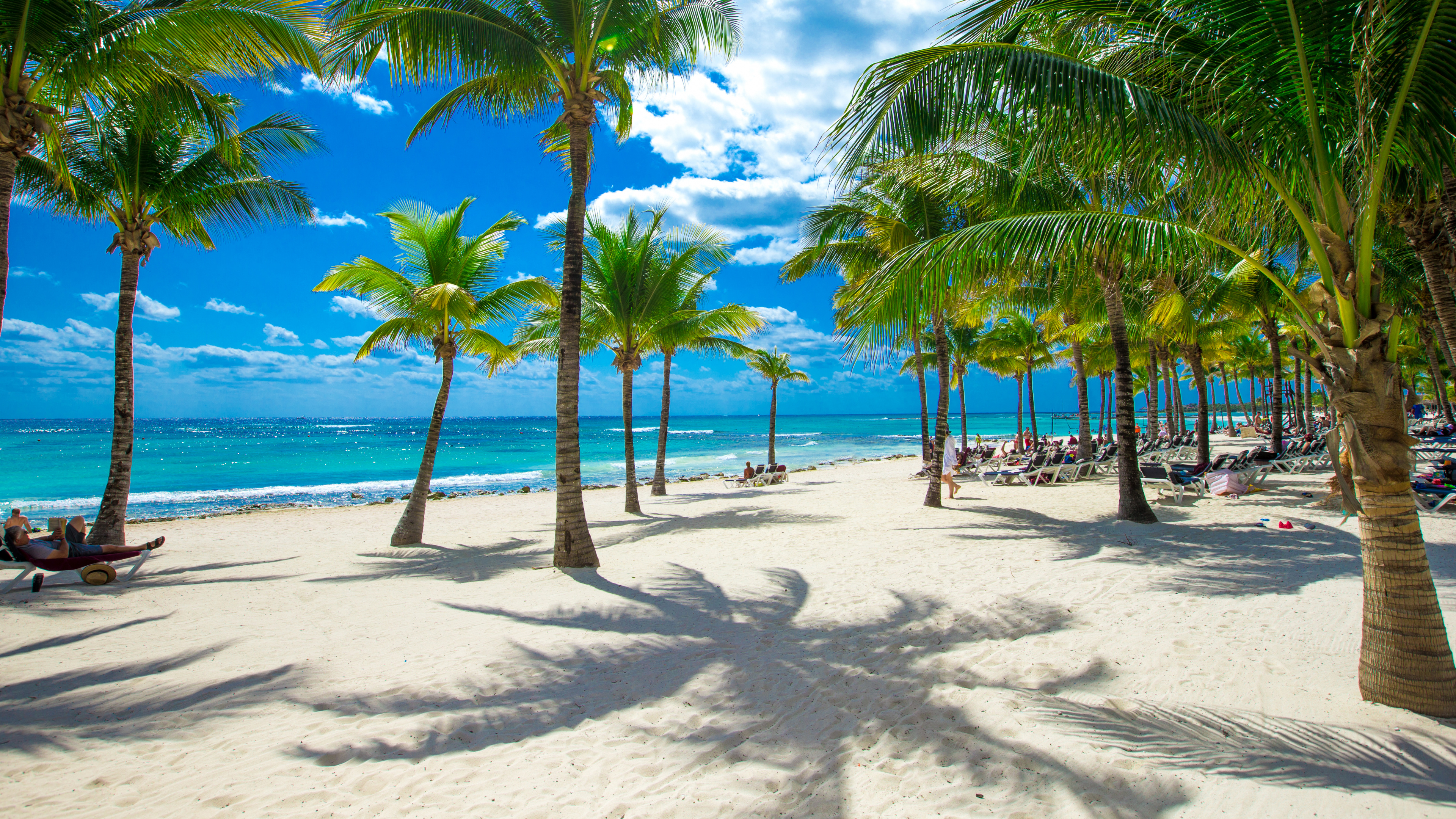 Palm Trees on Beach During Daytime. Wallpaper in 3840x2160 Resolution
