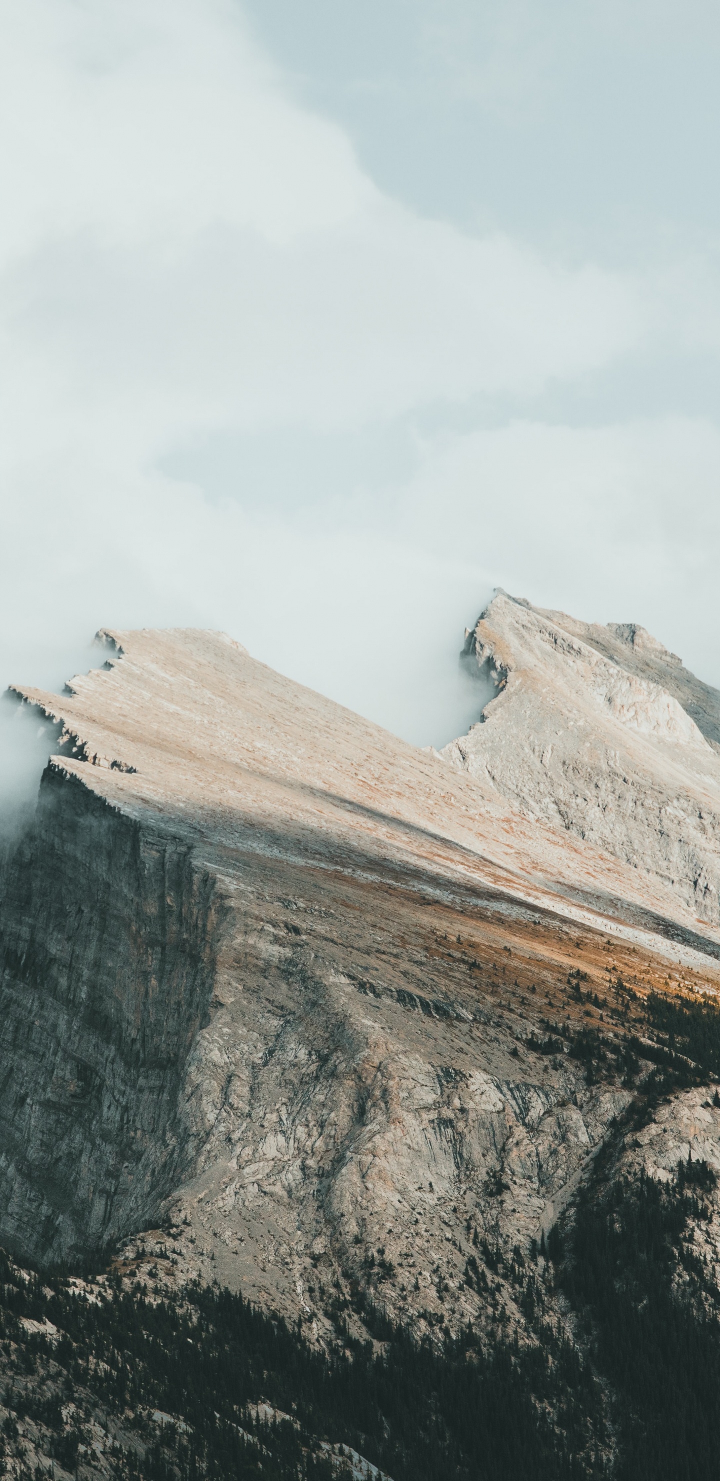 Alberta, Mount Rundle, Hausopfer, Soundcloud, Der Cyborg. Wallpaper in 1440x2960 Resolution